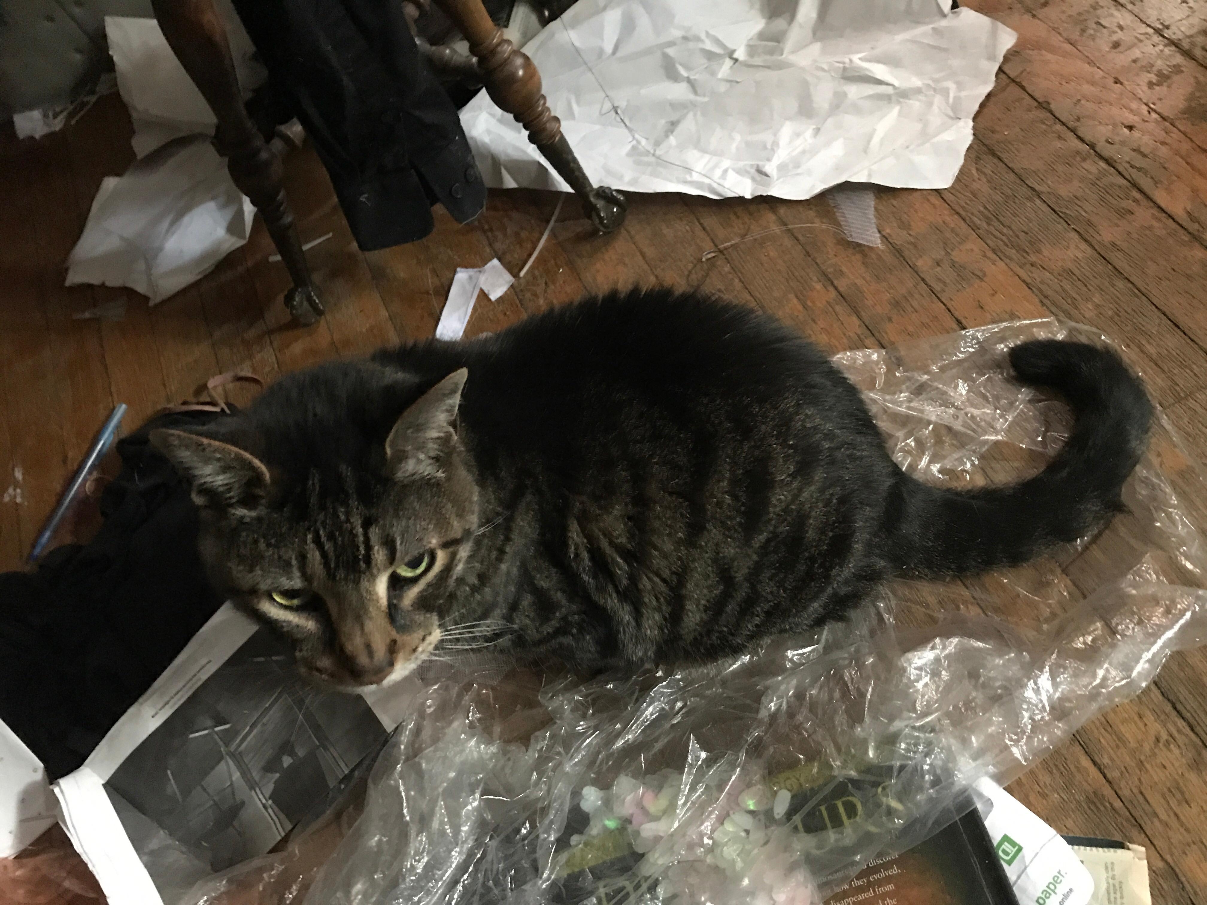 Question details sensitive content