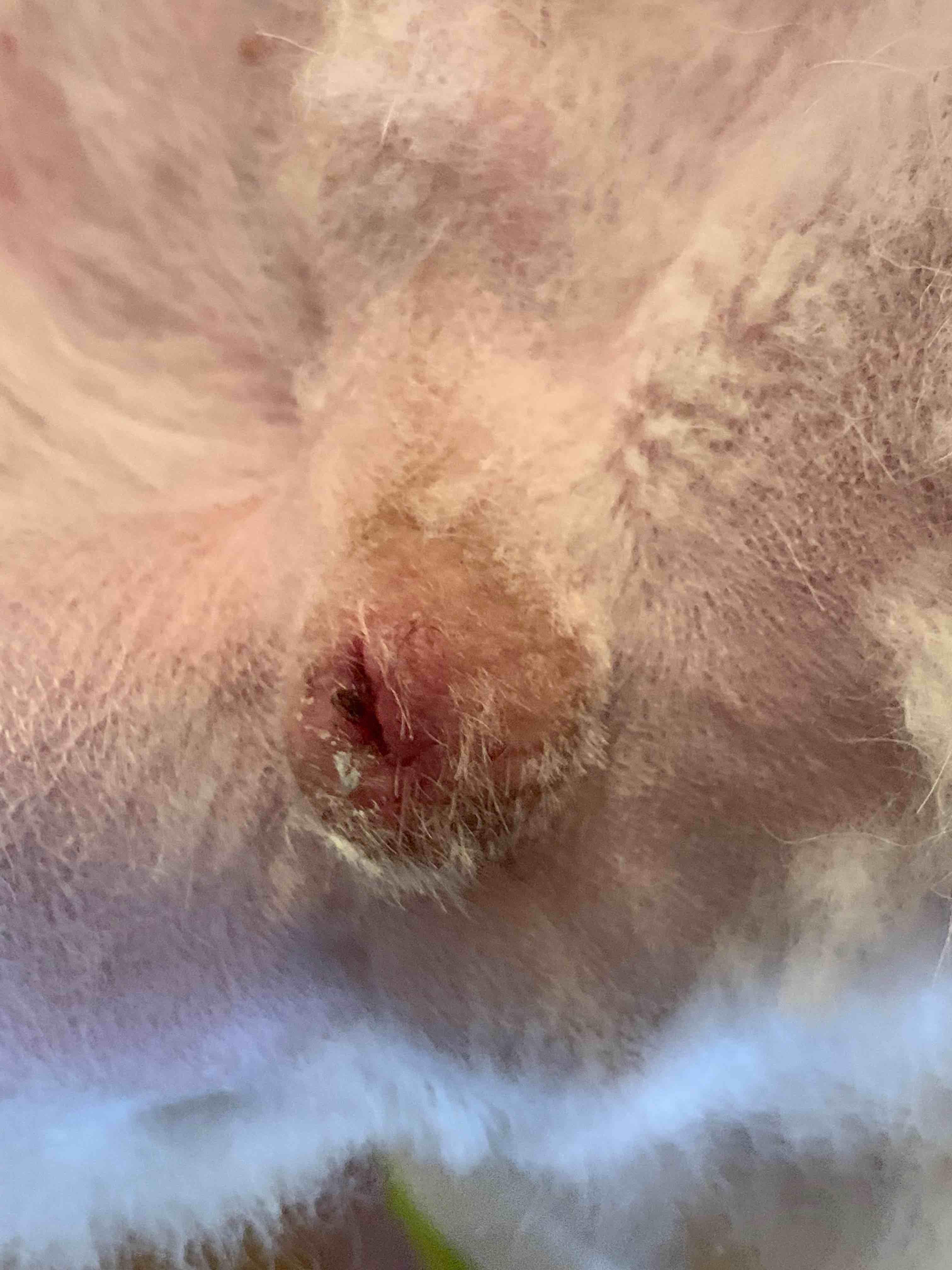 Question details sensitive content