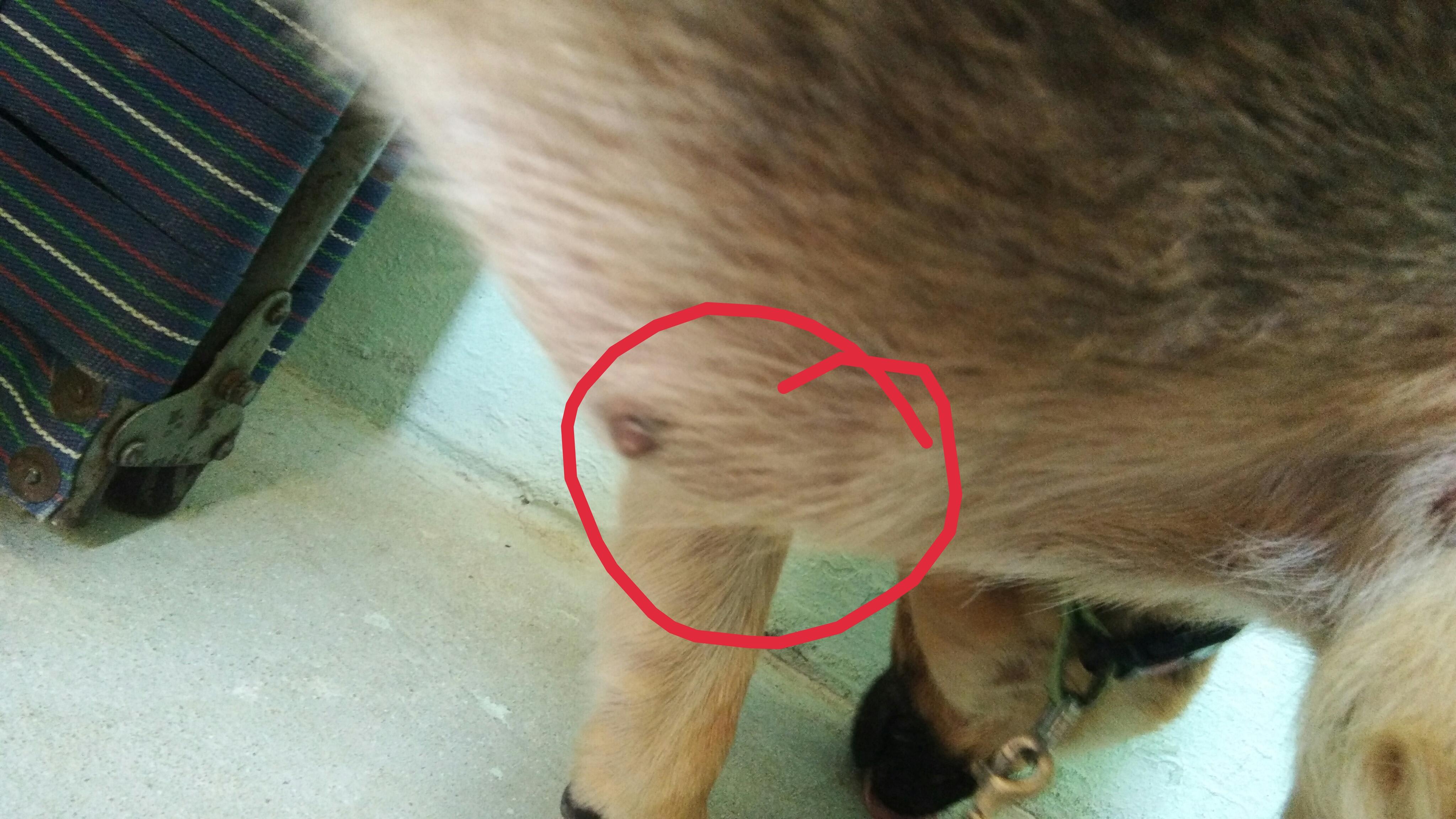 Question details sensitive content