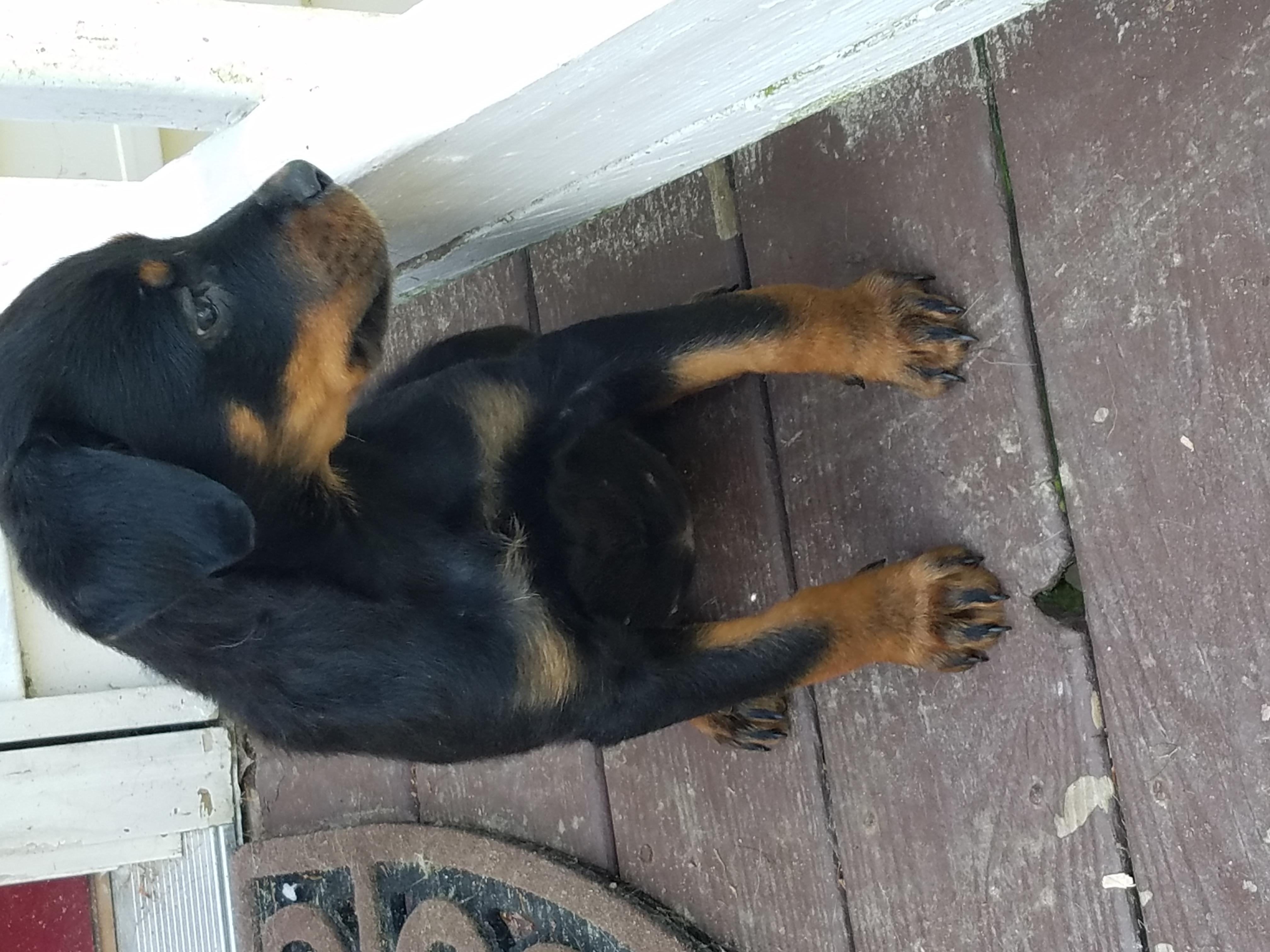 Question details sensitive content