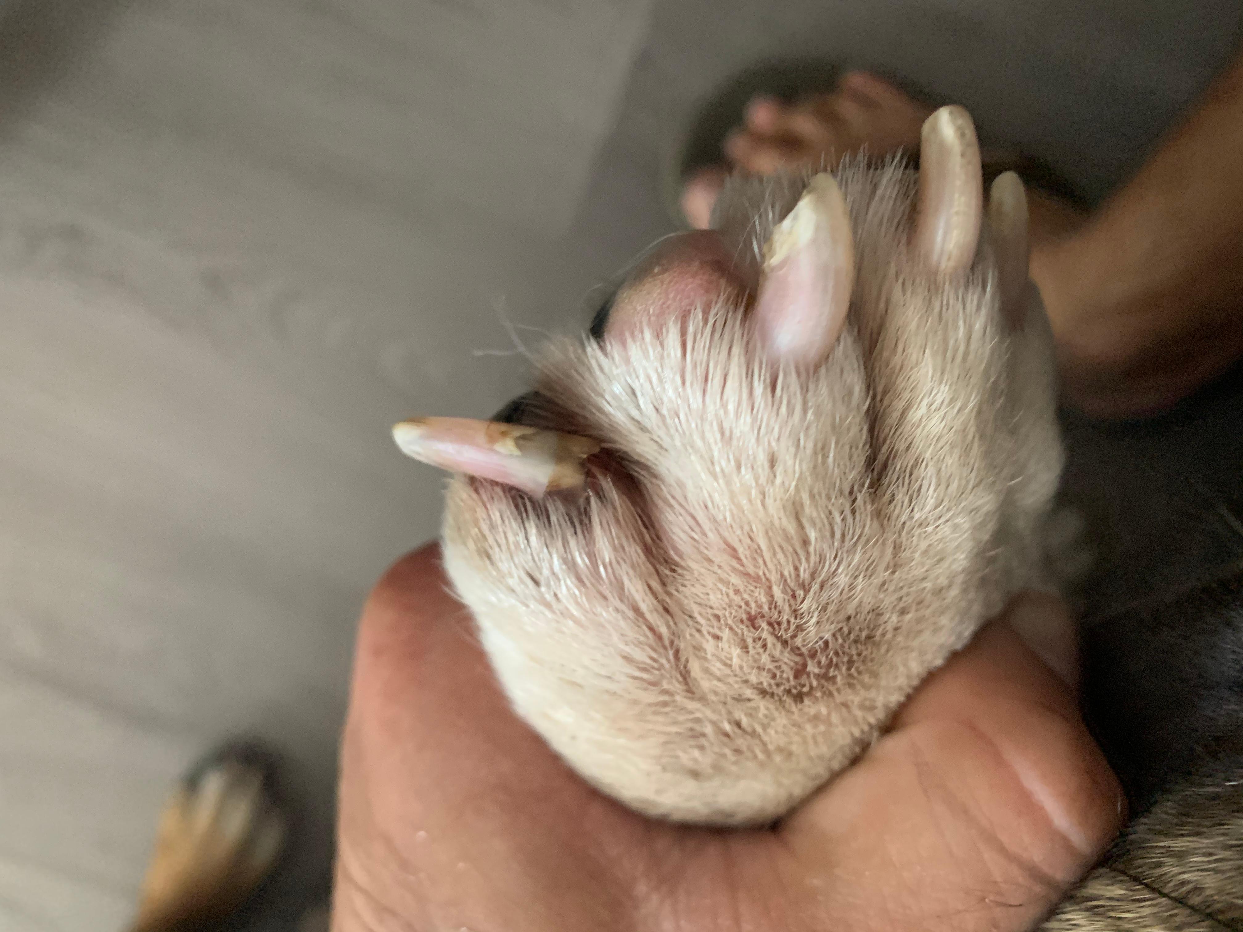 Question details sensitive content