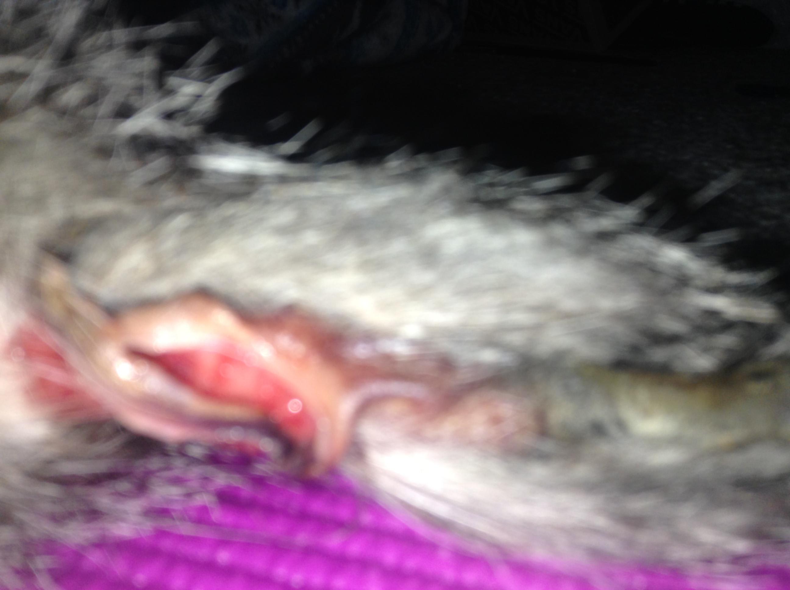 Question details sensitive content