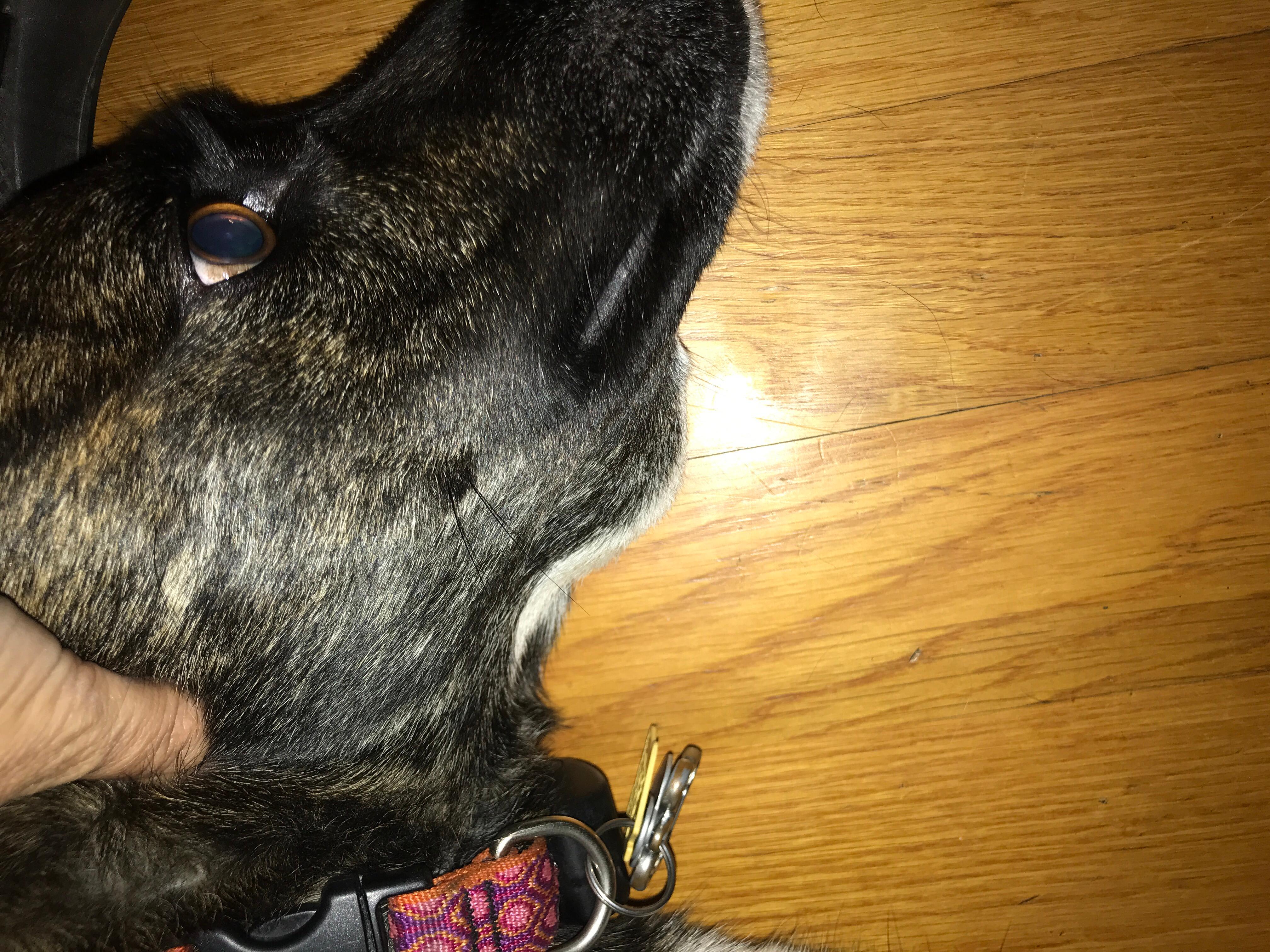 Question details sensitive content