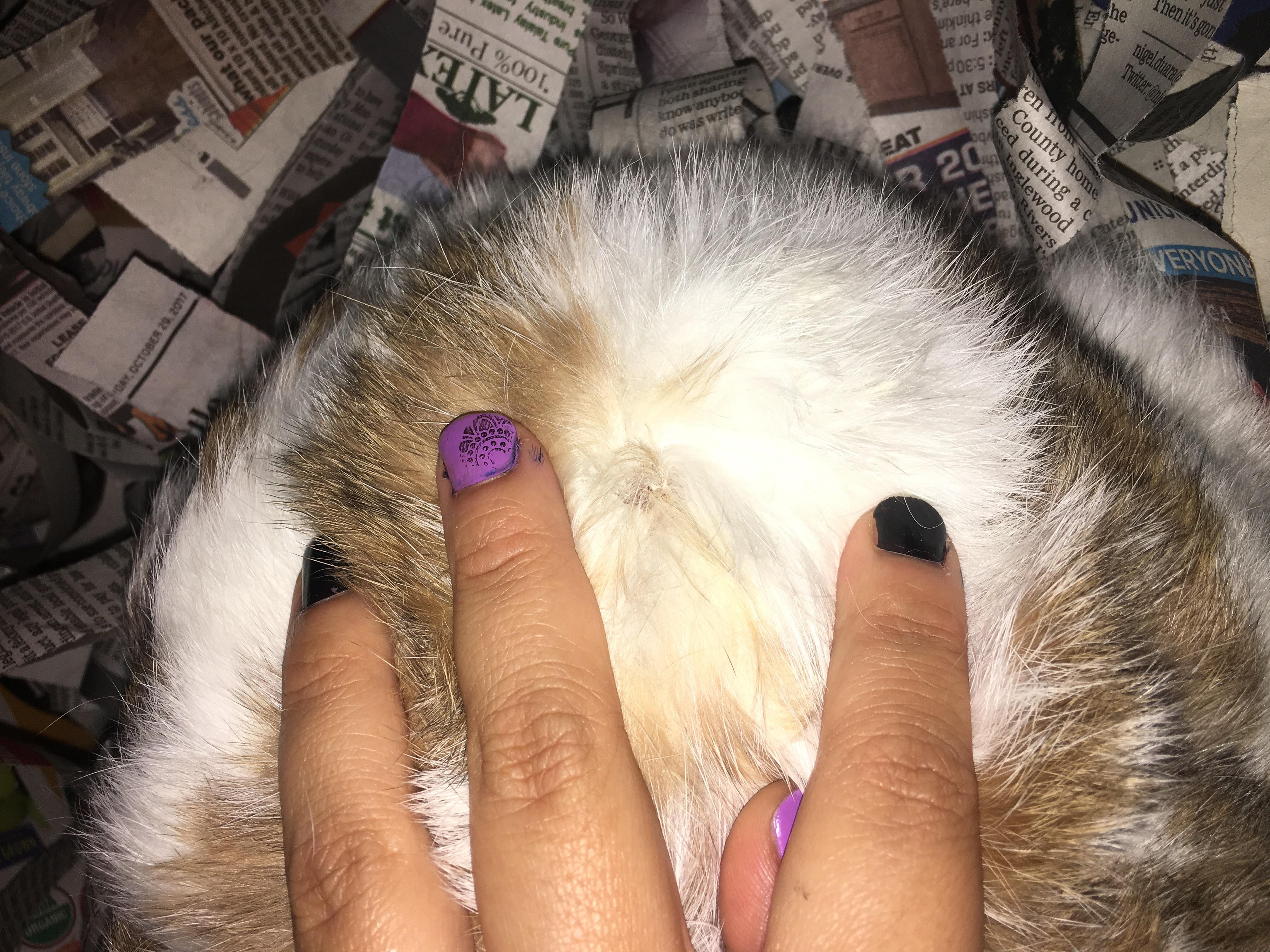 Question details sensitive content