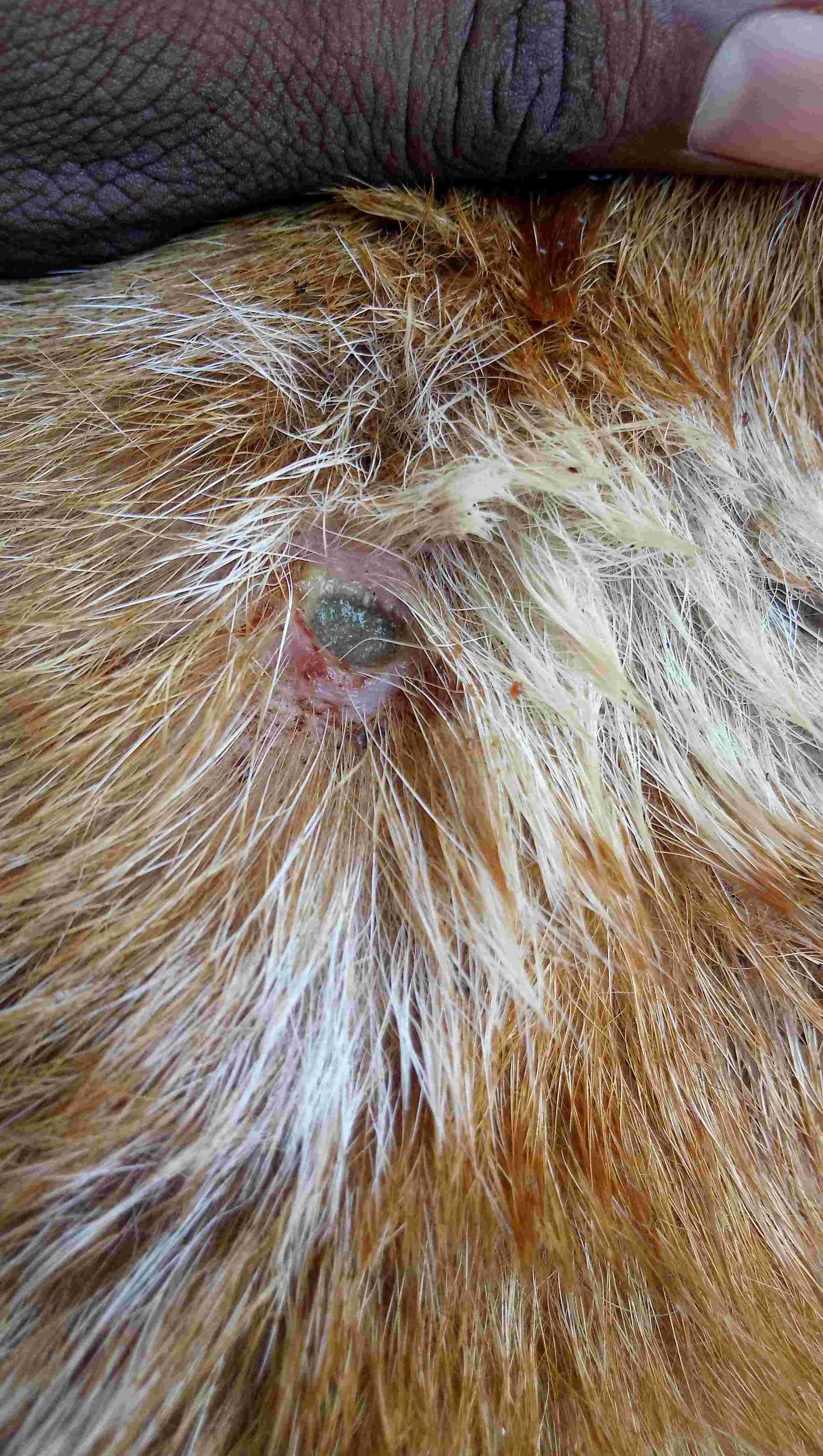 Question details sensitive content