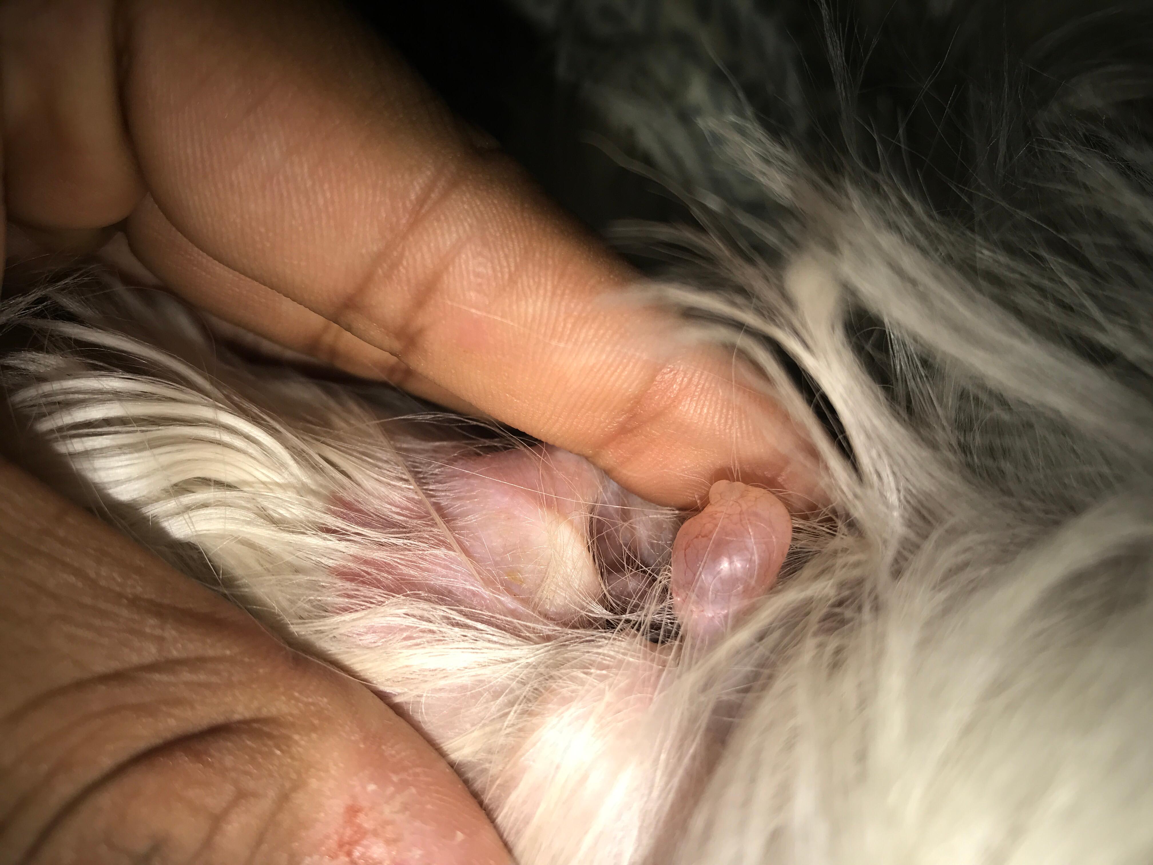 Question details sensitive content