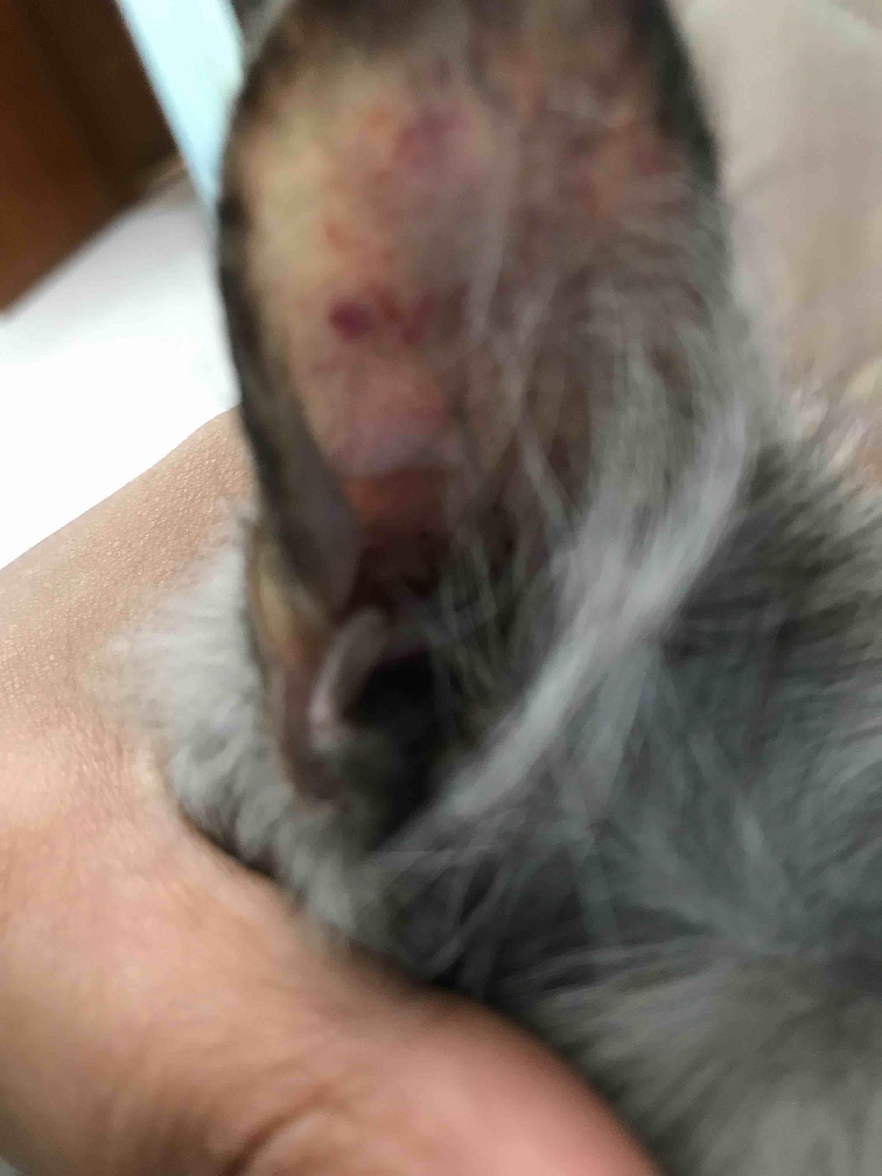 Question details sensitive content