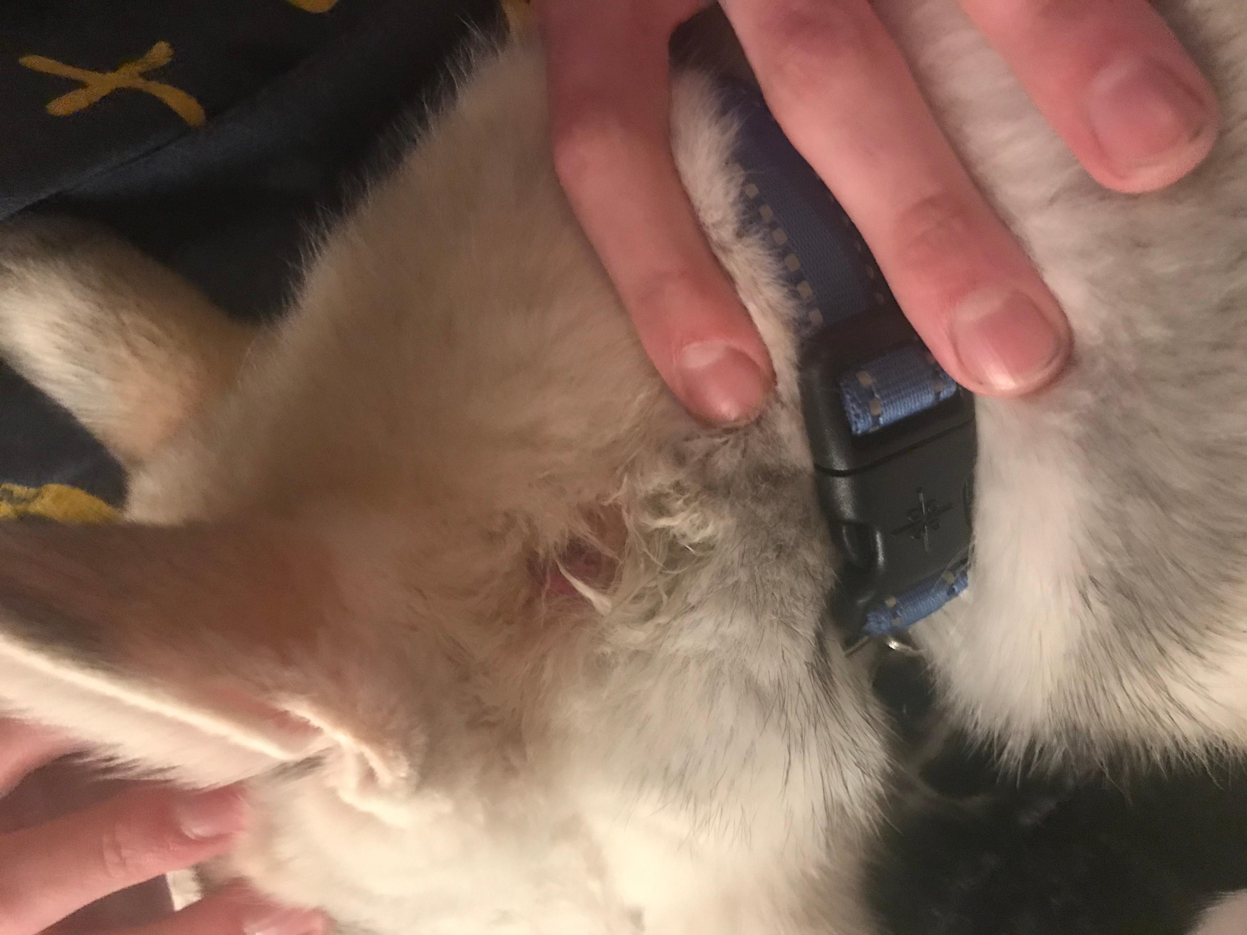 Question details sensitive content