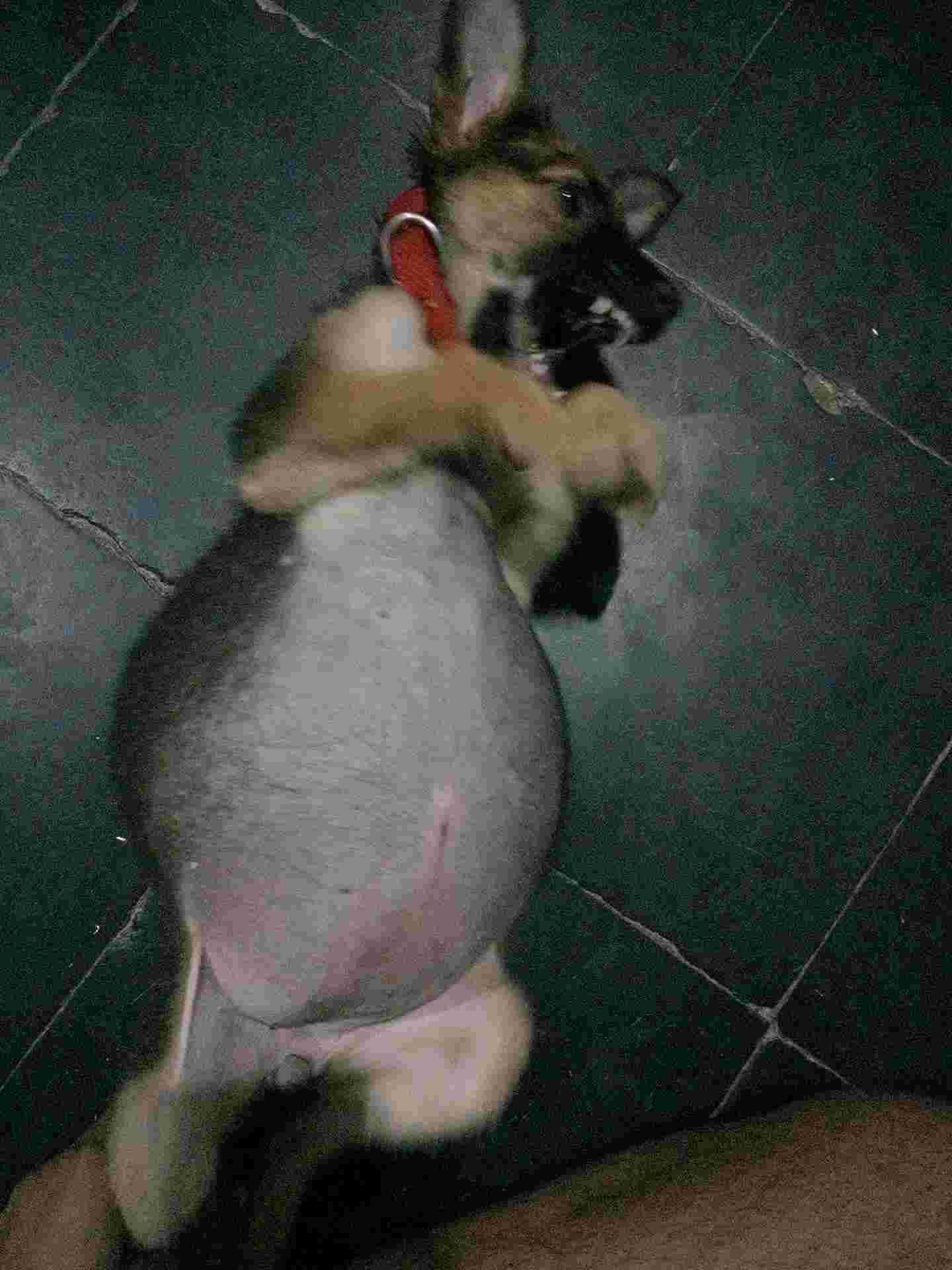 Question details sensitive content