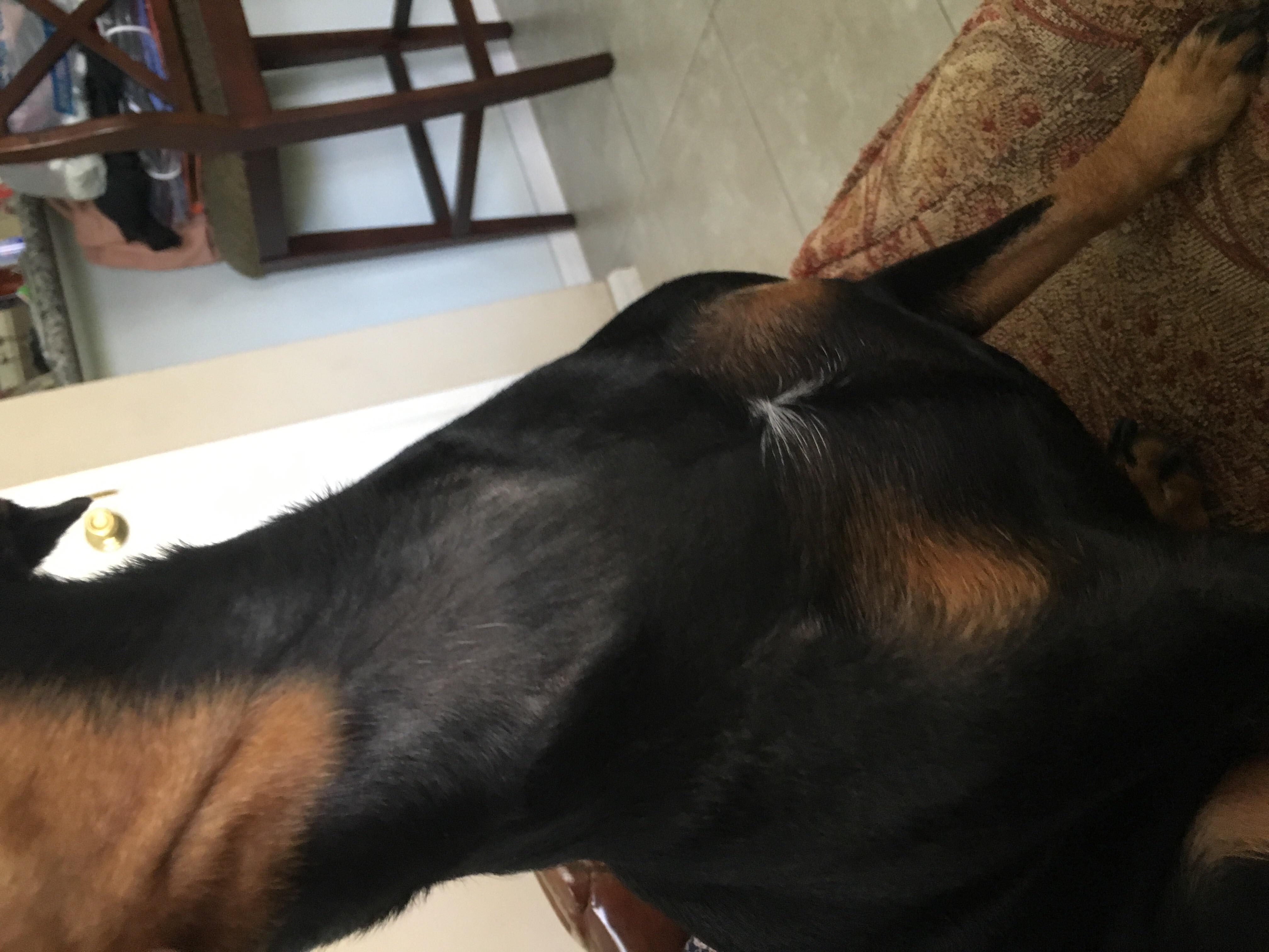 Question details sensitive content