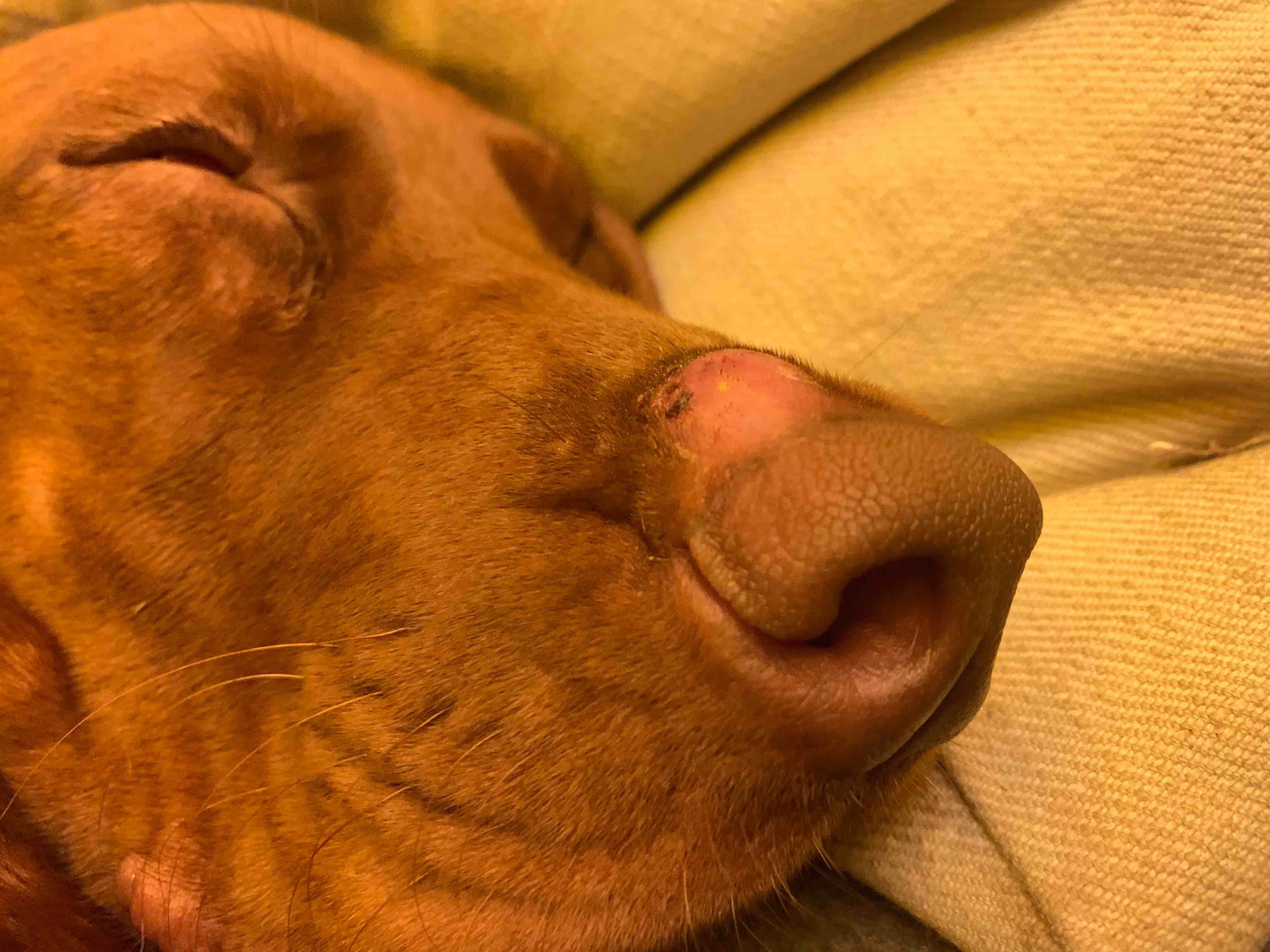 Question details sensitive content