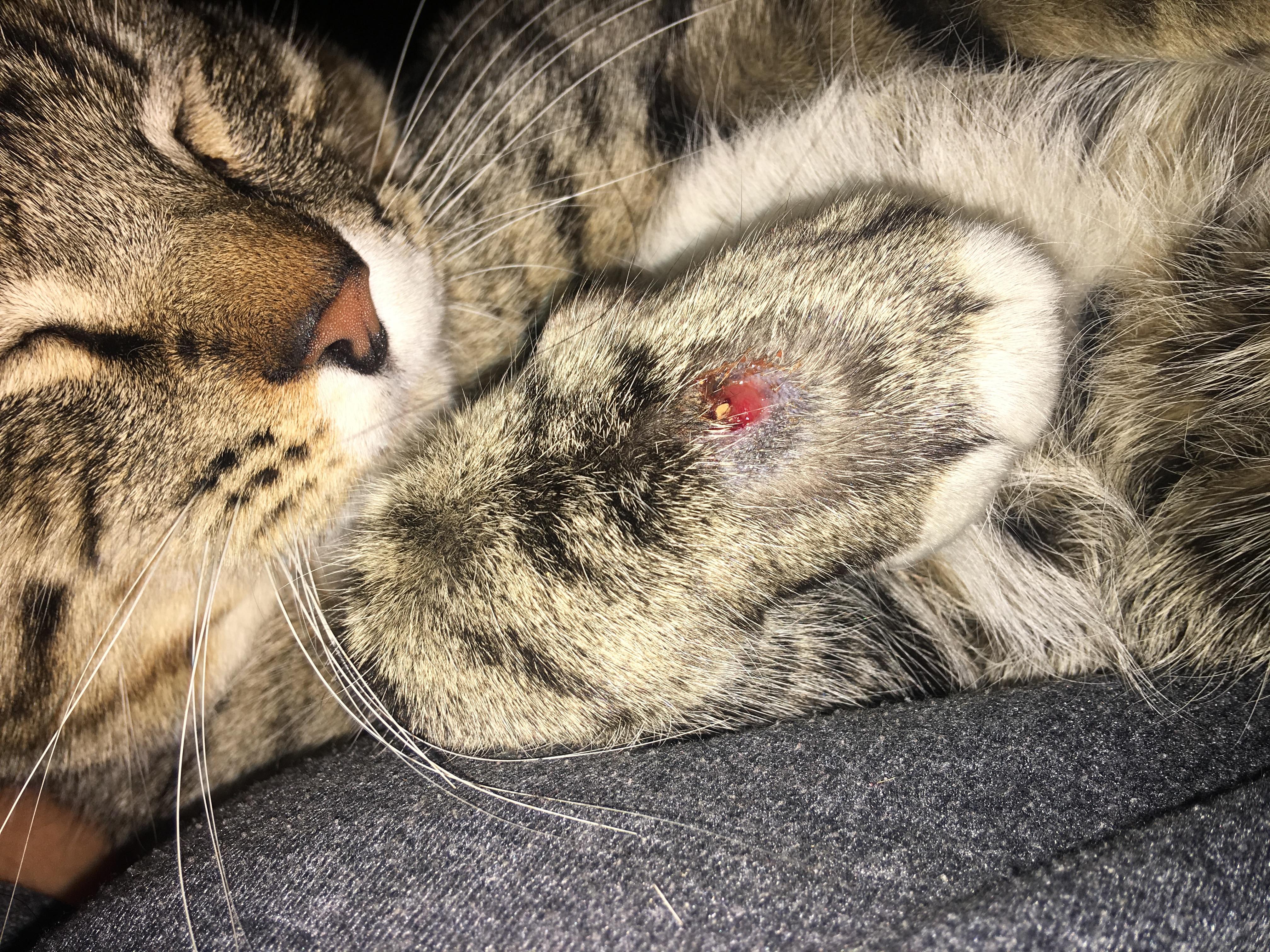 Question details sensitive content