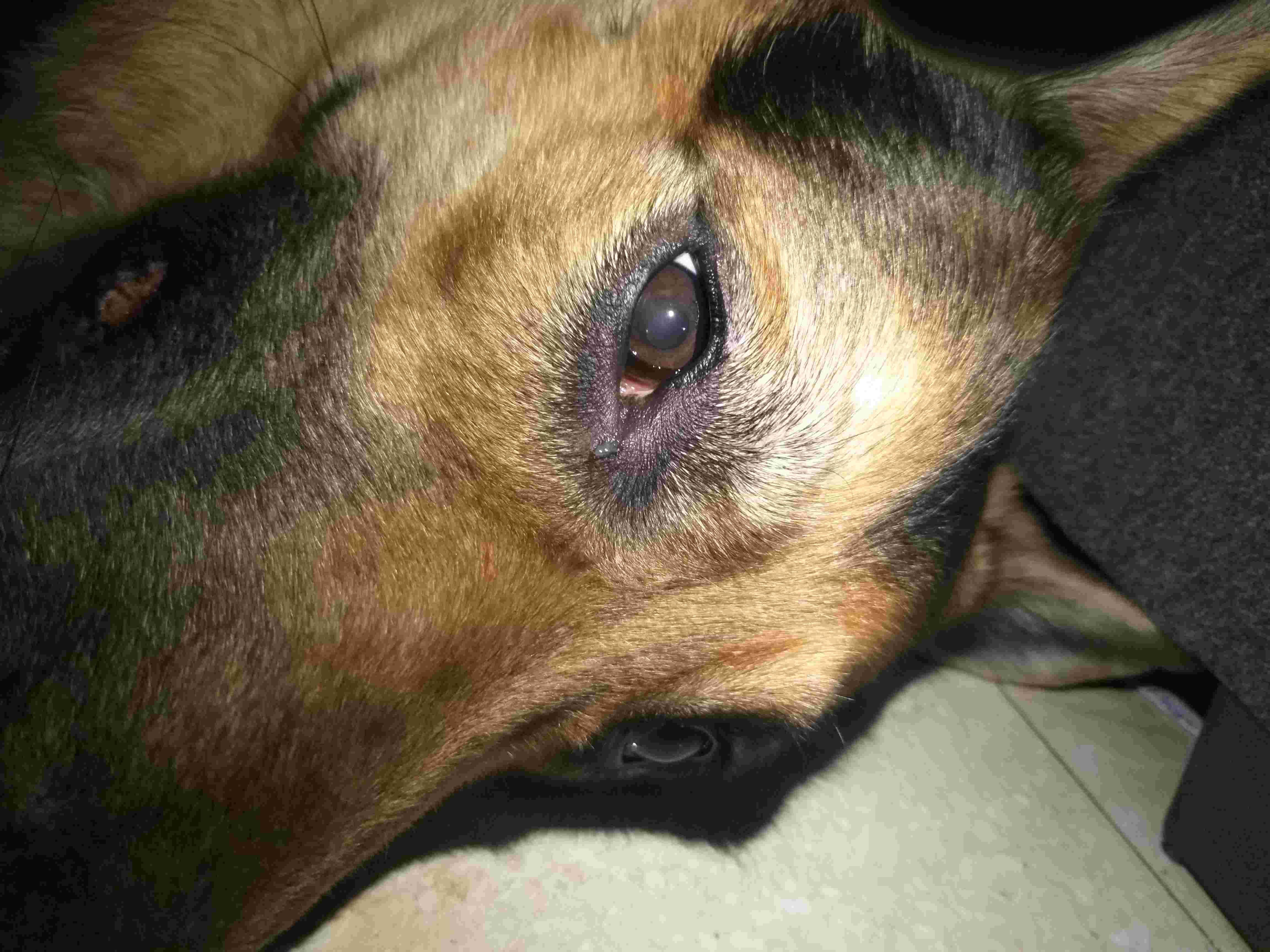 Question details sensitive content