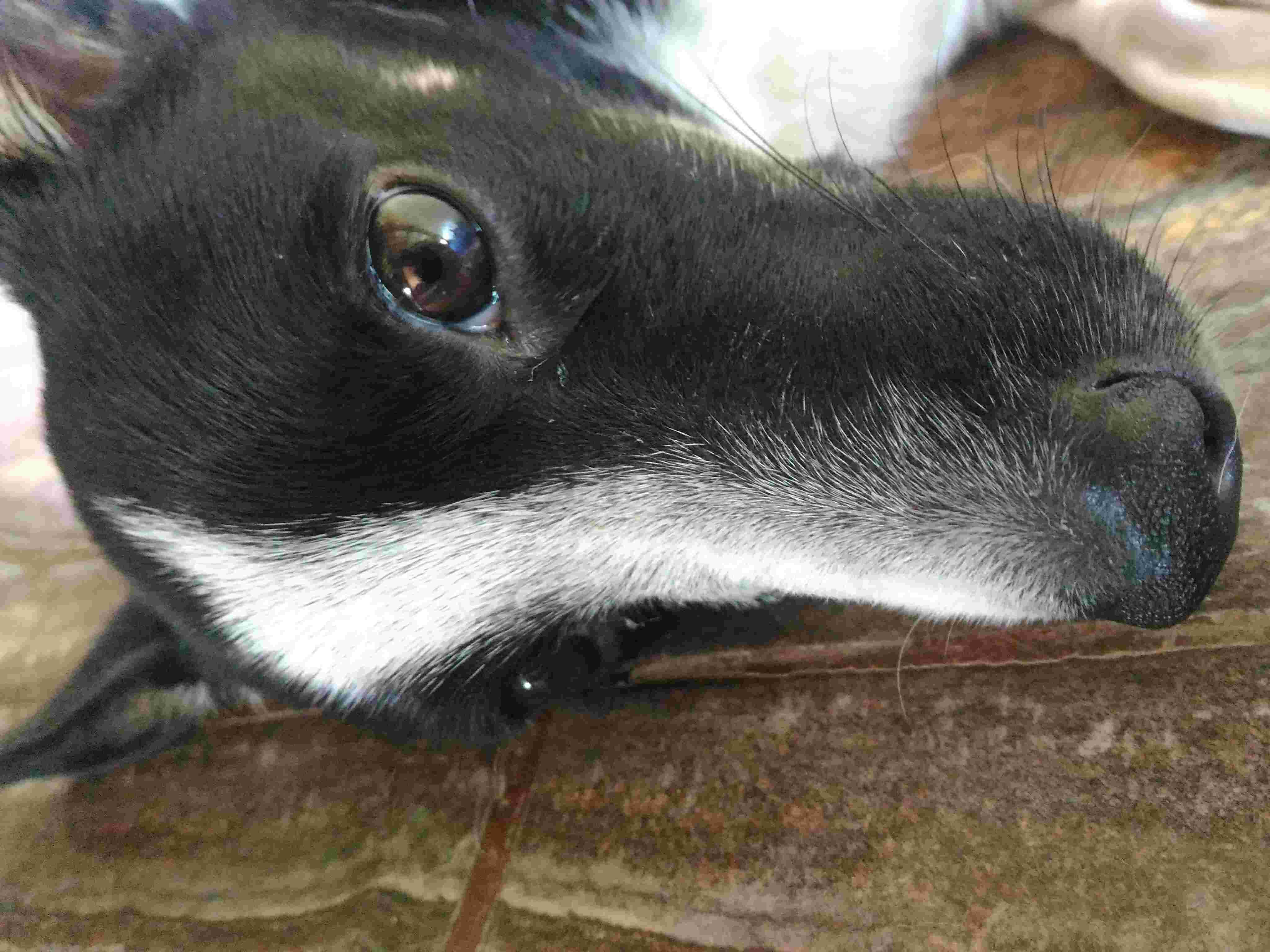 Question details sensitive content