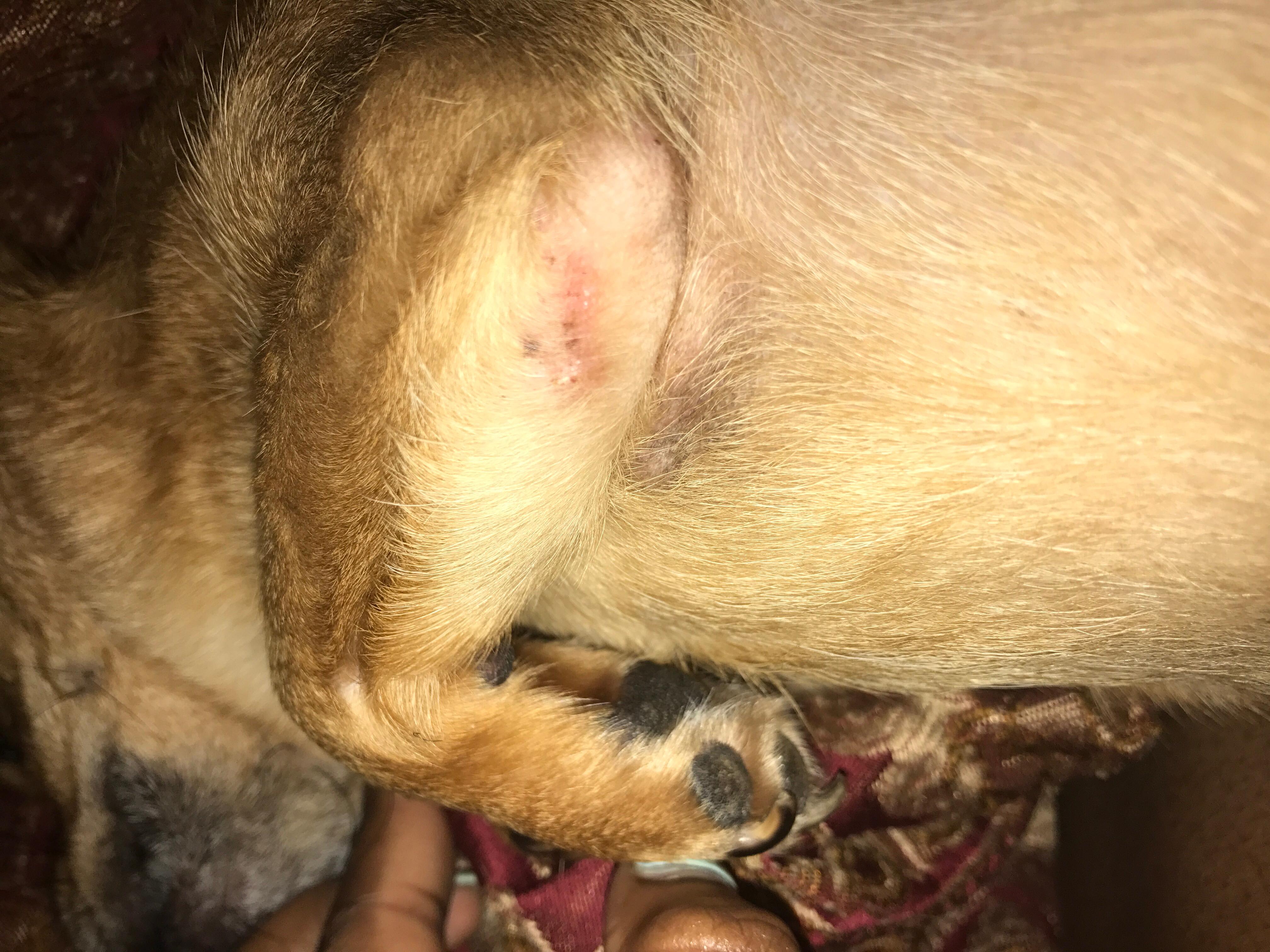 Question details sensitive content