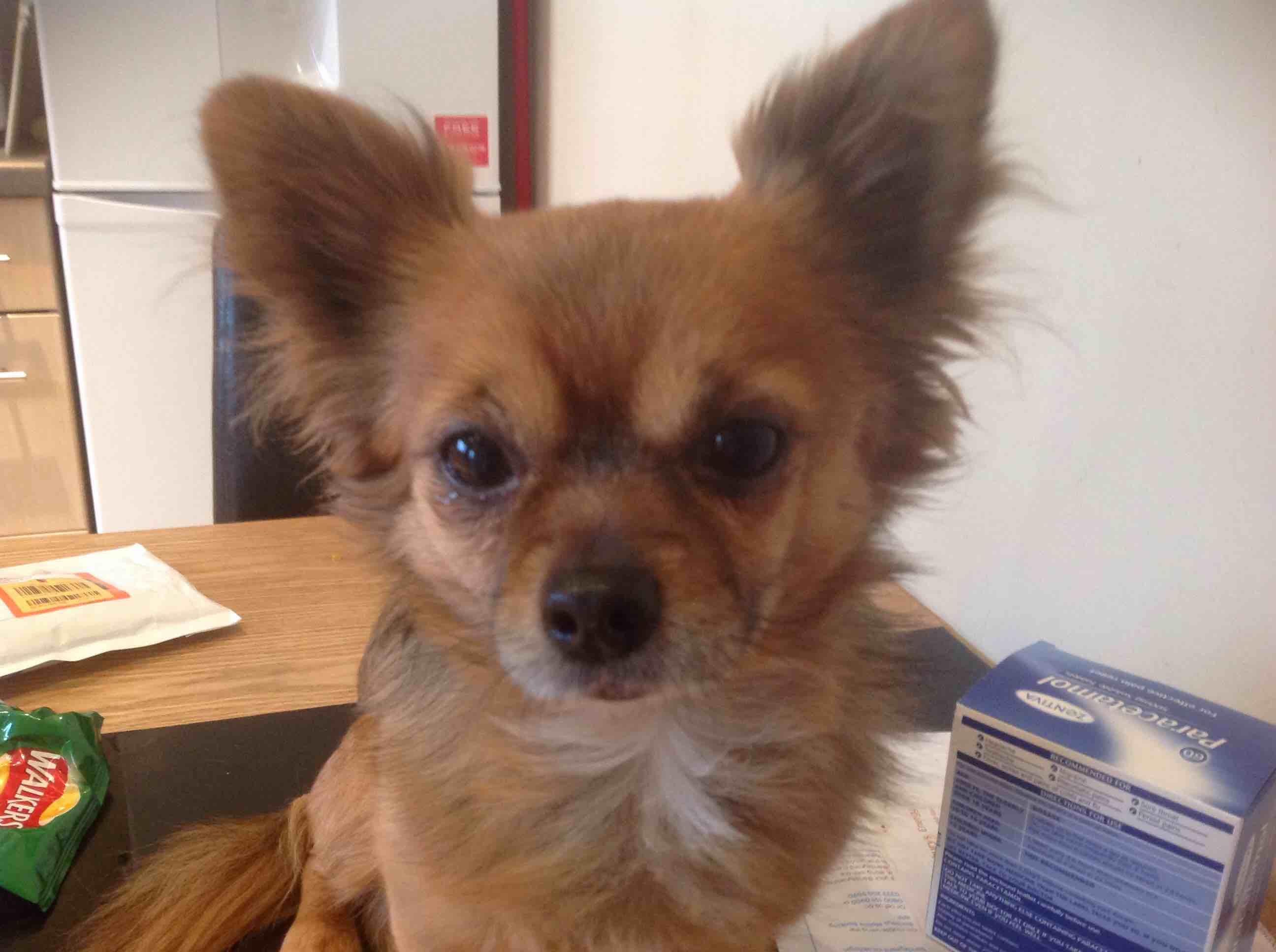 Question details sensitive content