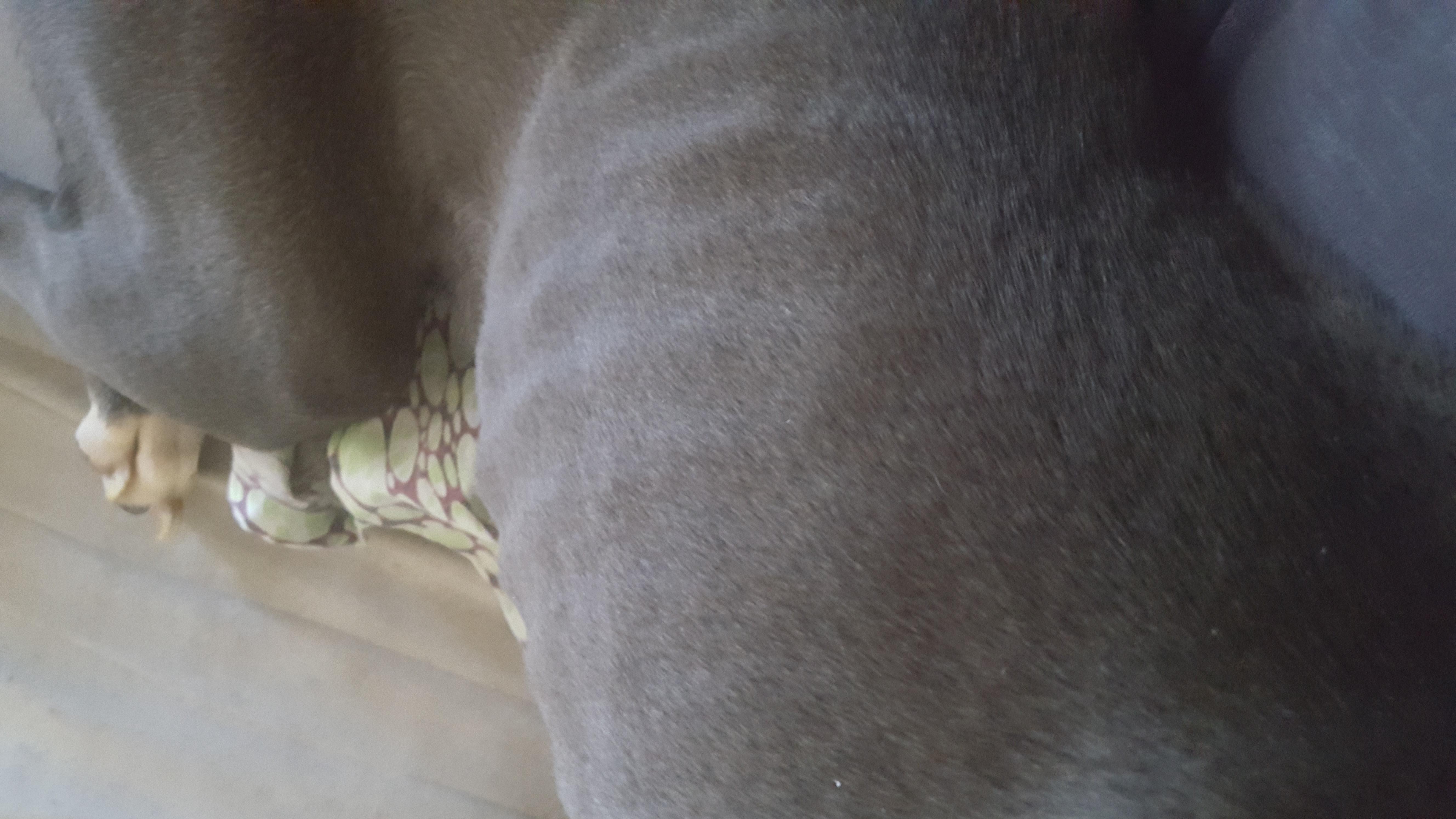 Question details sensitive content