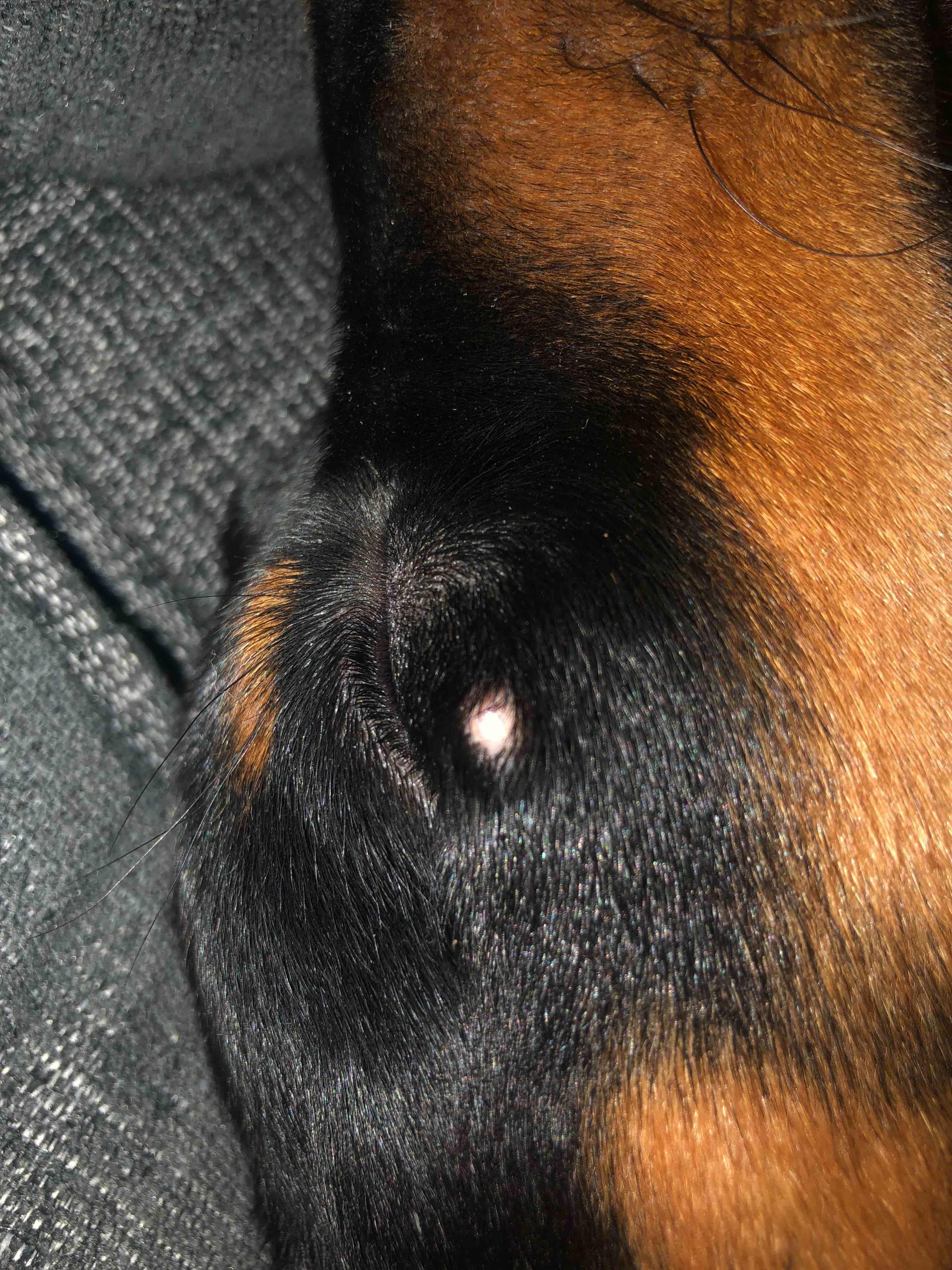 Question details sensitive content