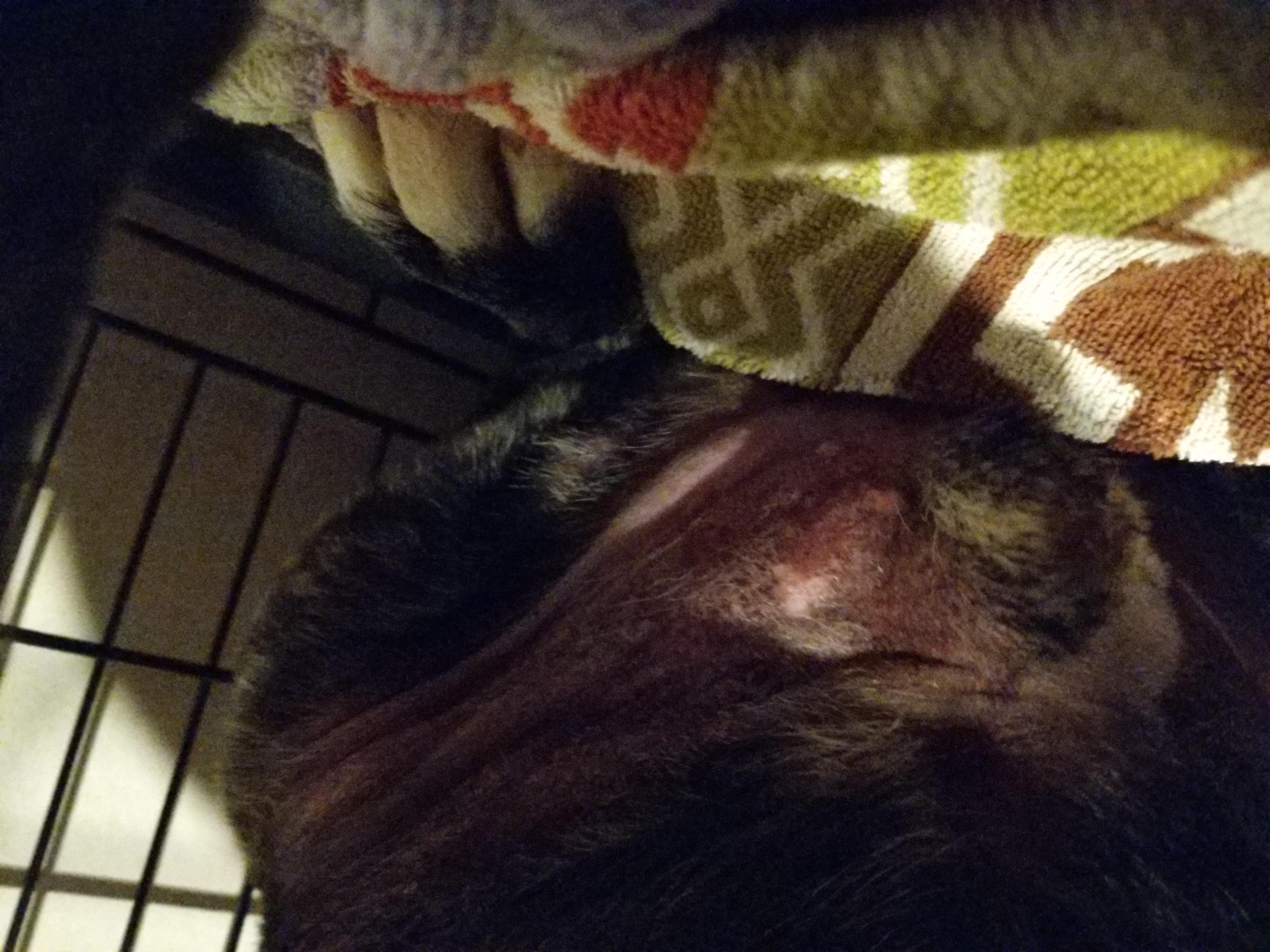 Question details sensitive content