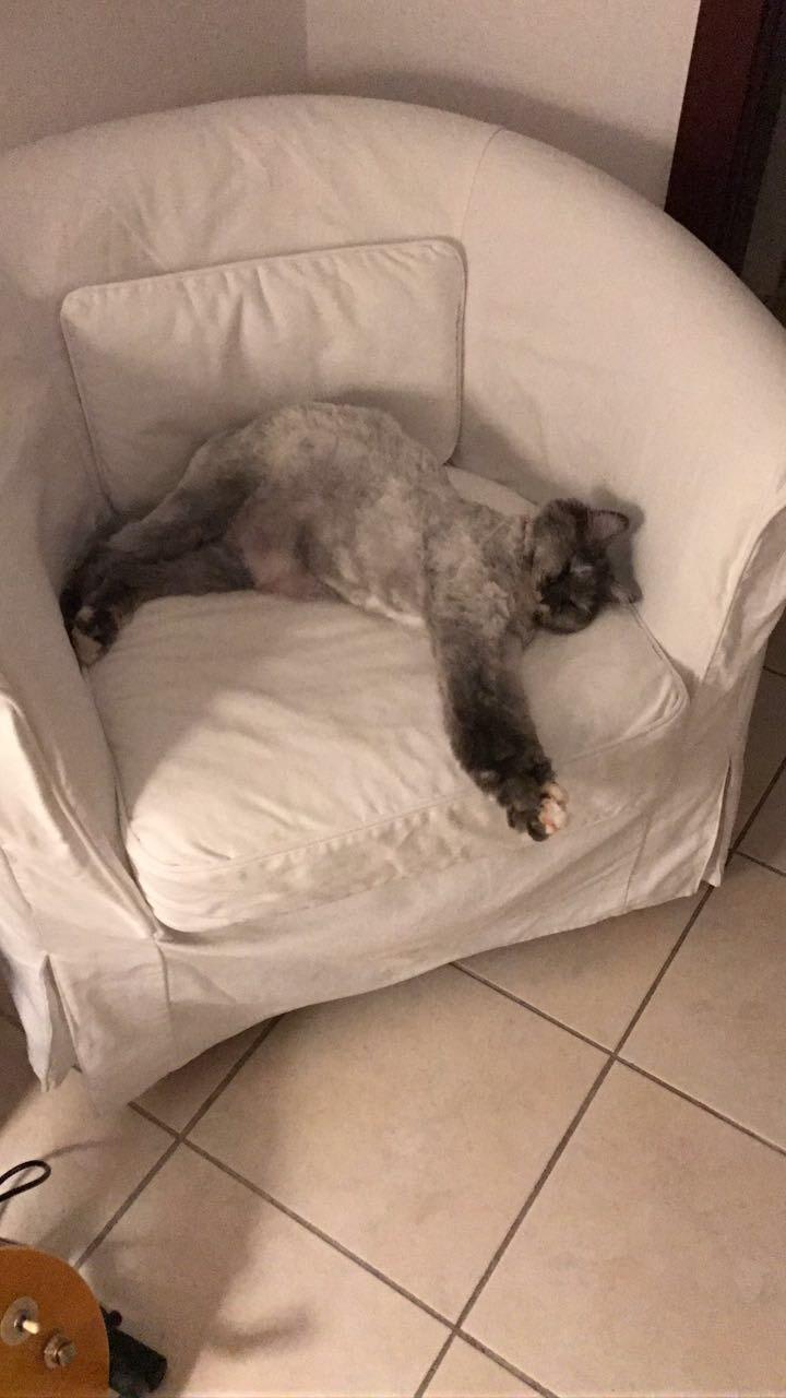 Question details sensitive content