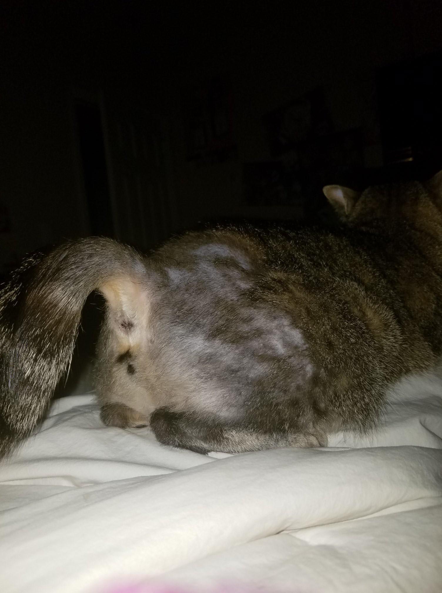 Question details sensitive content