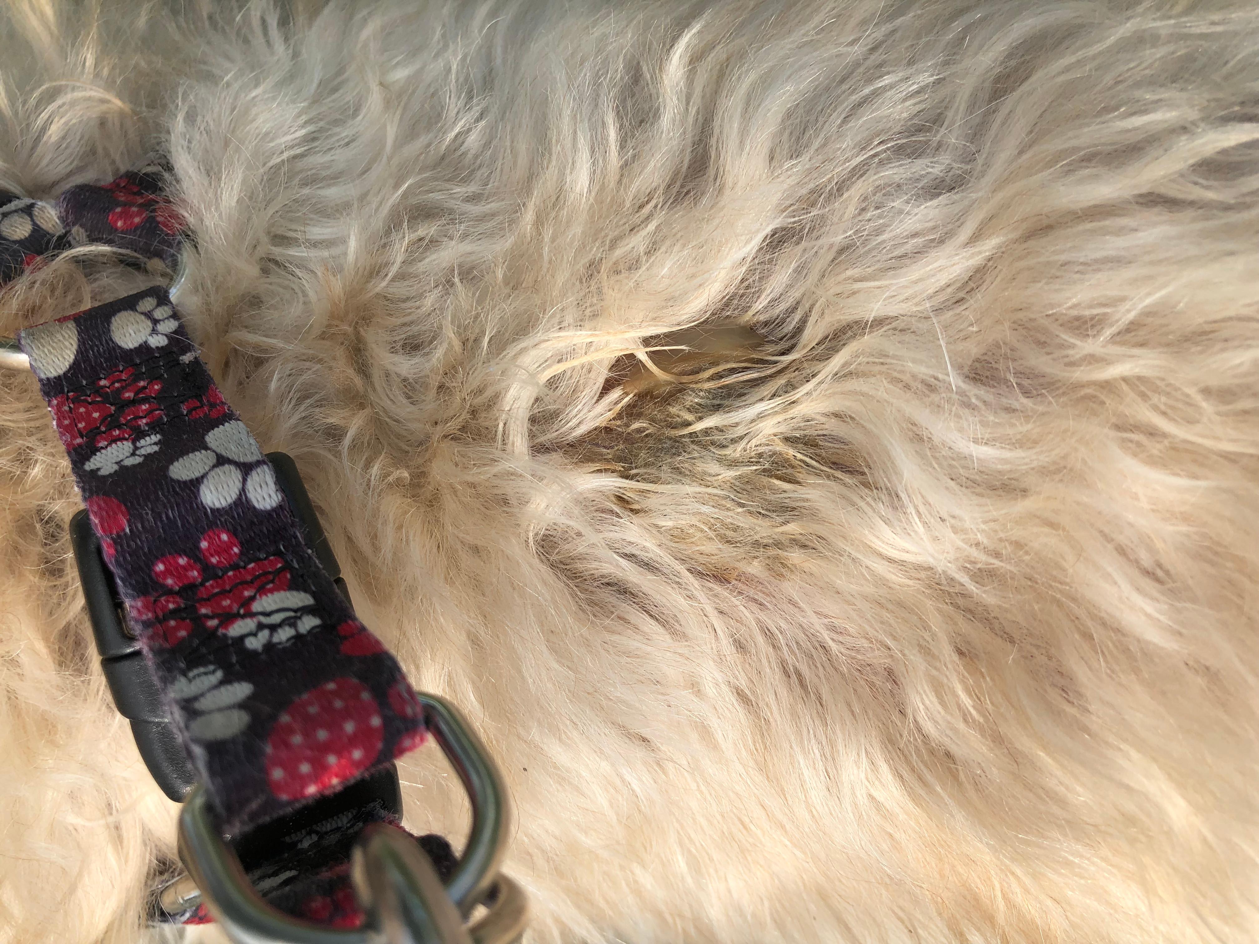 Question details sensitive content