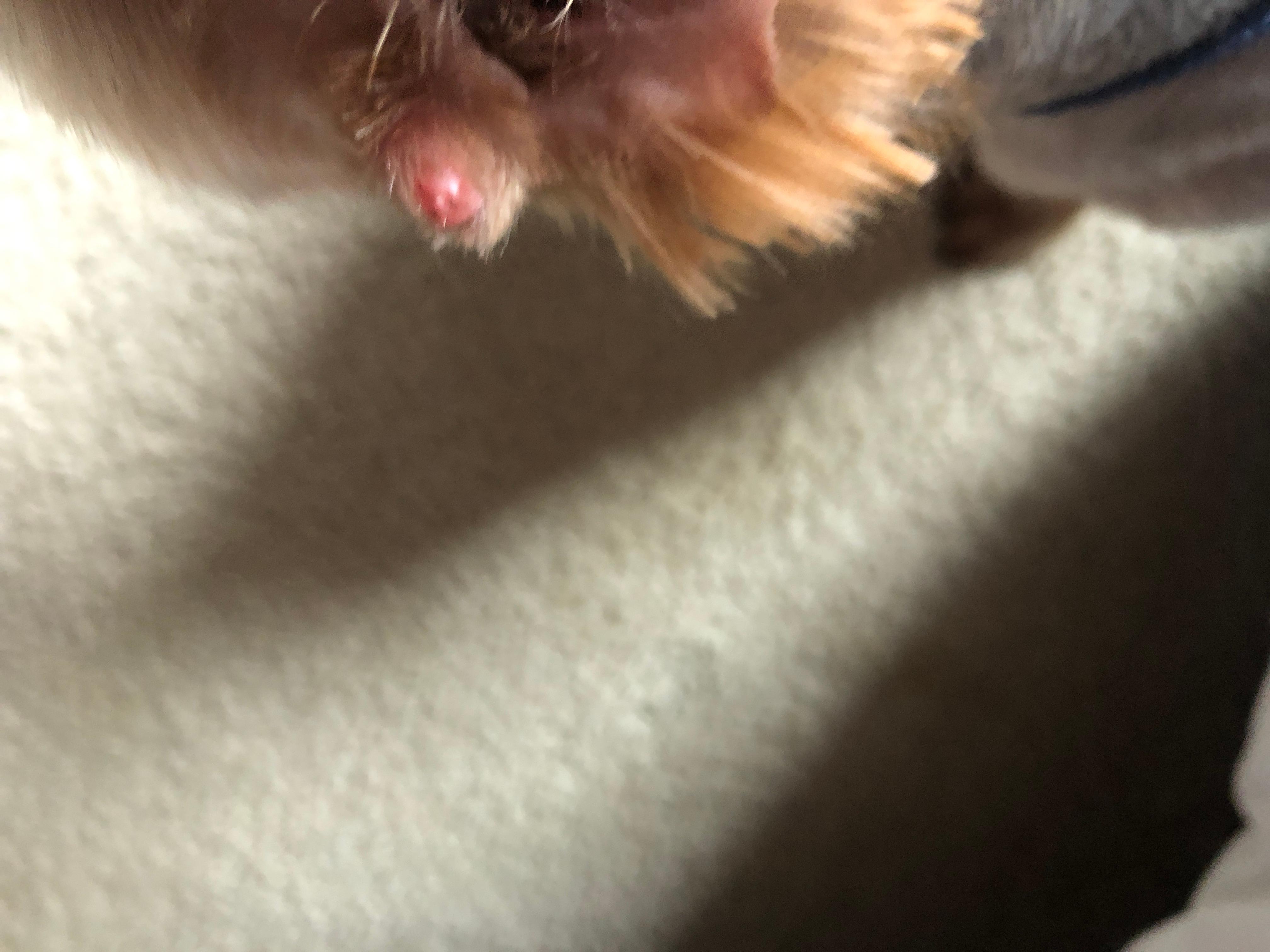 Question details sensitive content