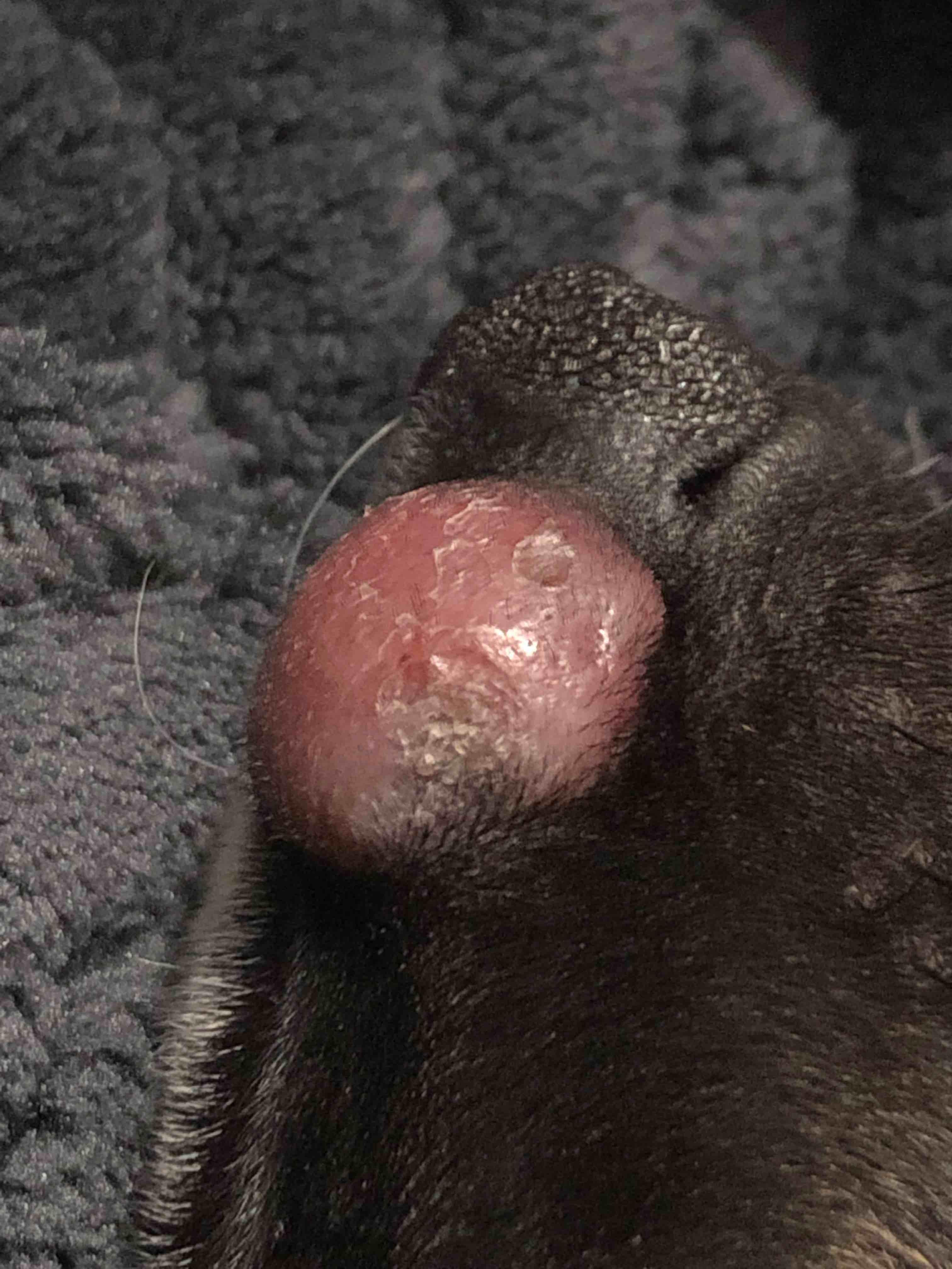 Question details sensitive content