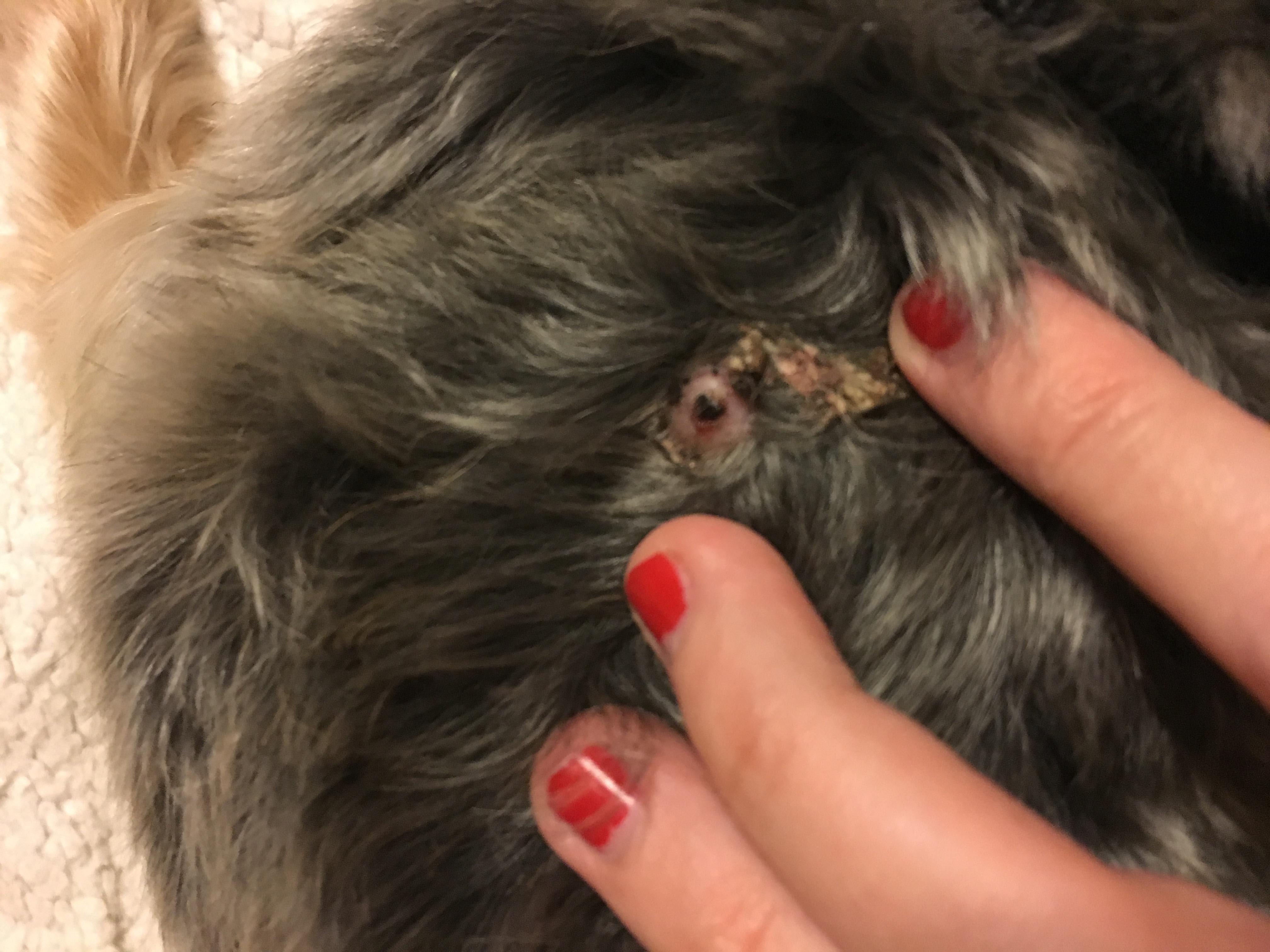 Question details sensitive content