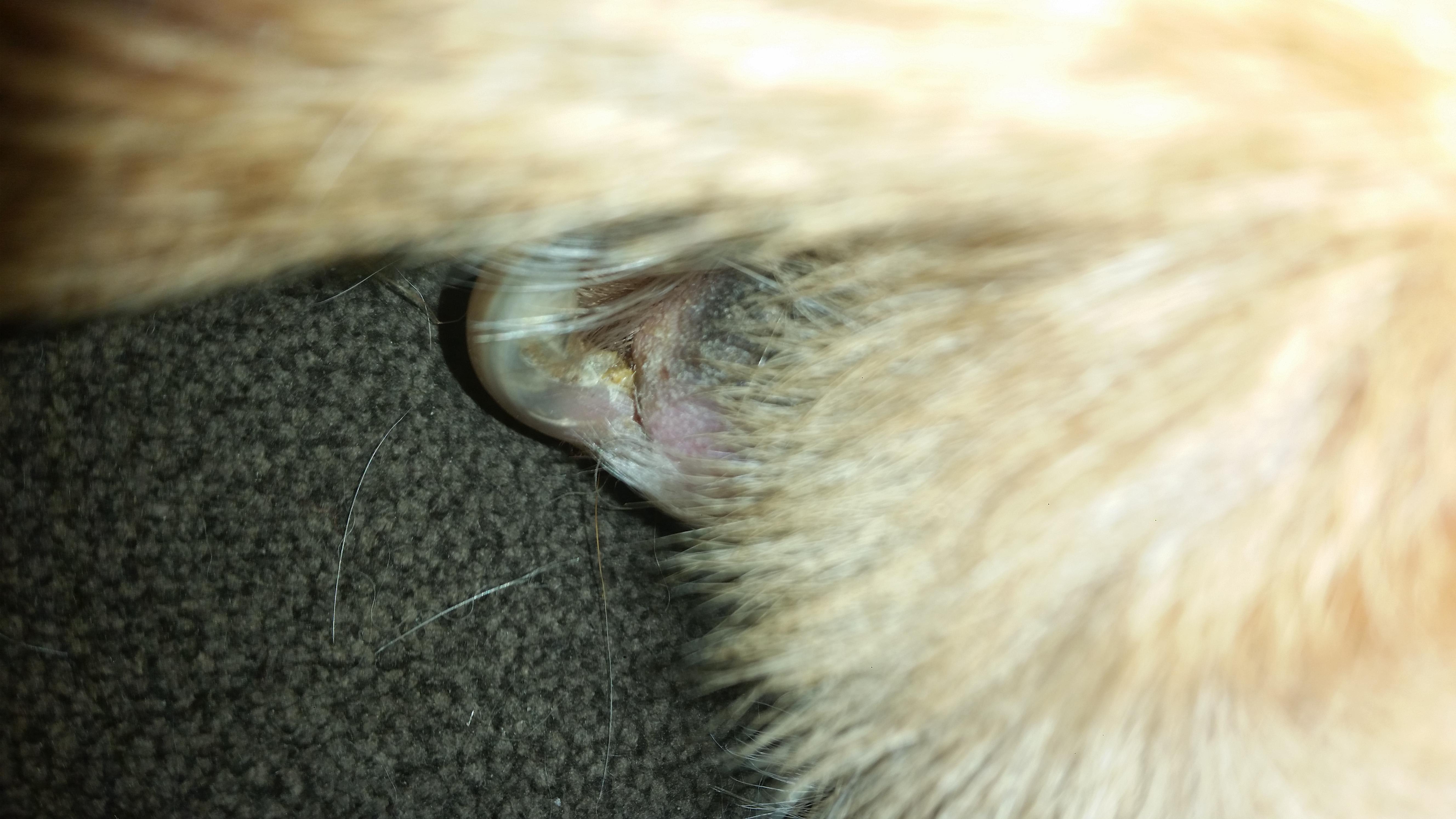 Question details sensitive content