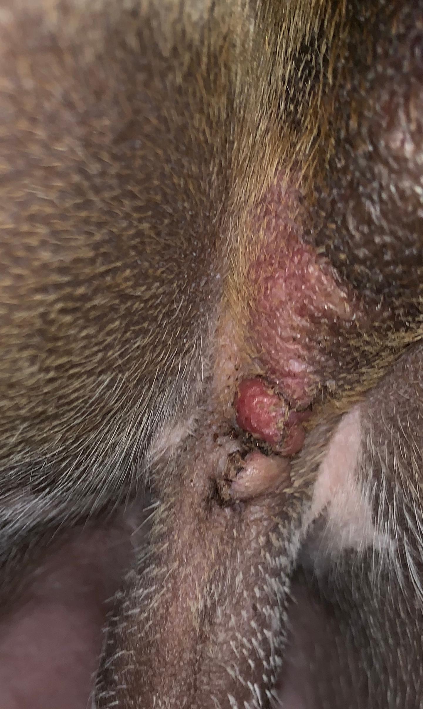 Question details sensitive content