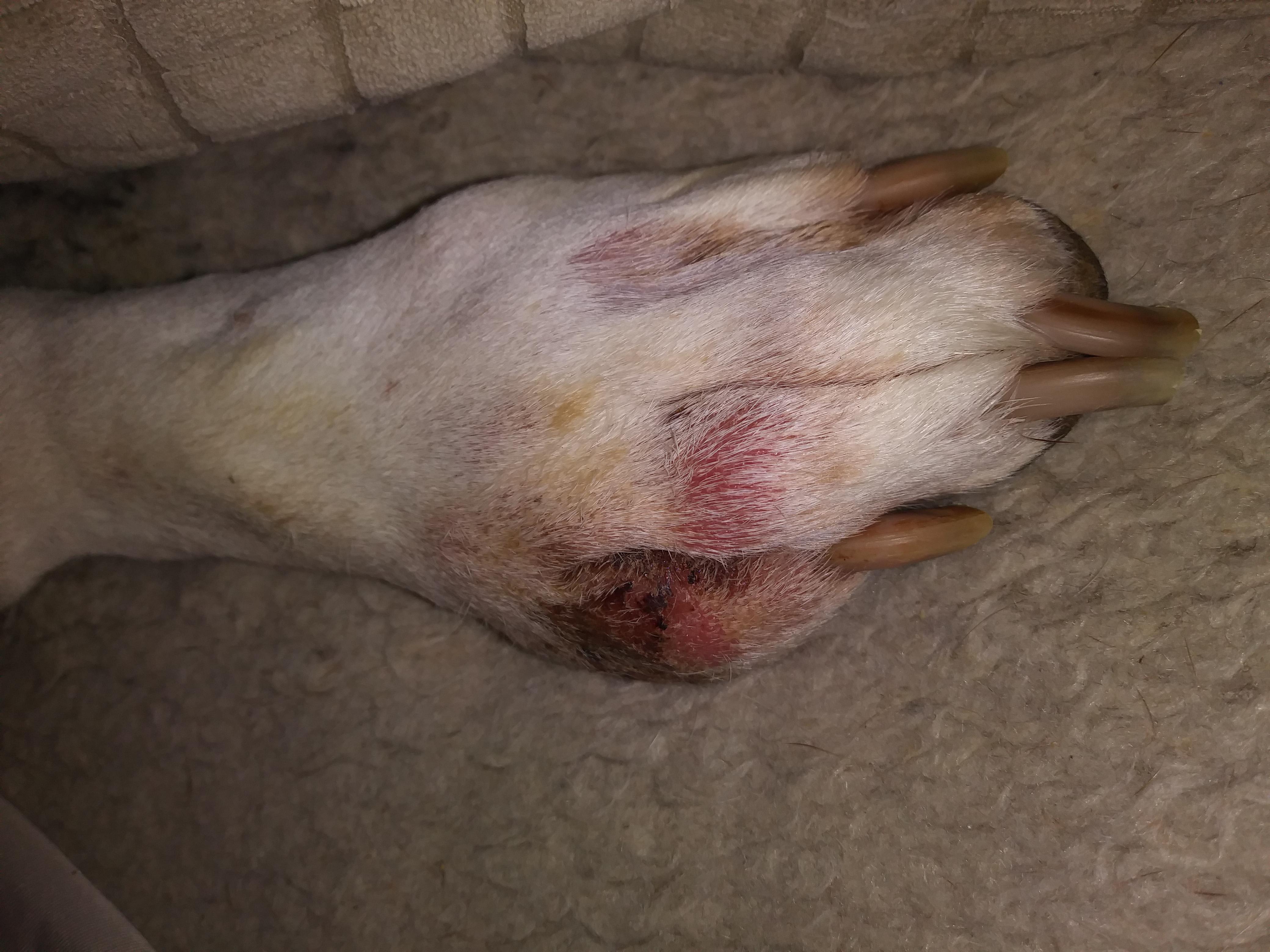 Question details sensitive content