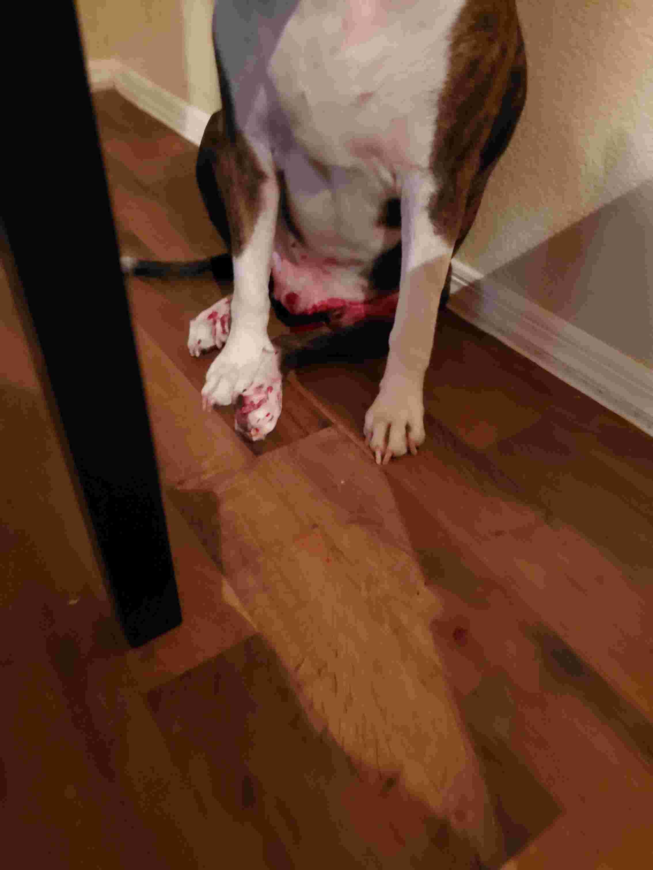 Question details sensitive content