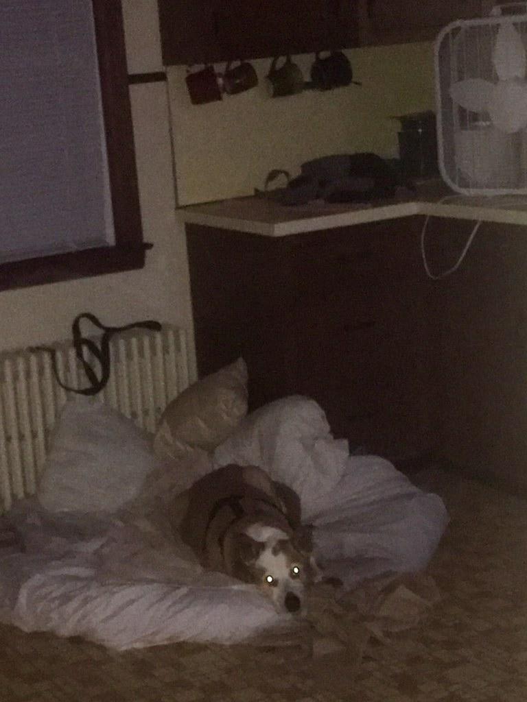 Question details sensitive content