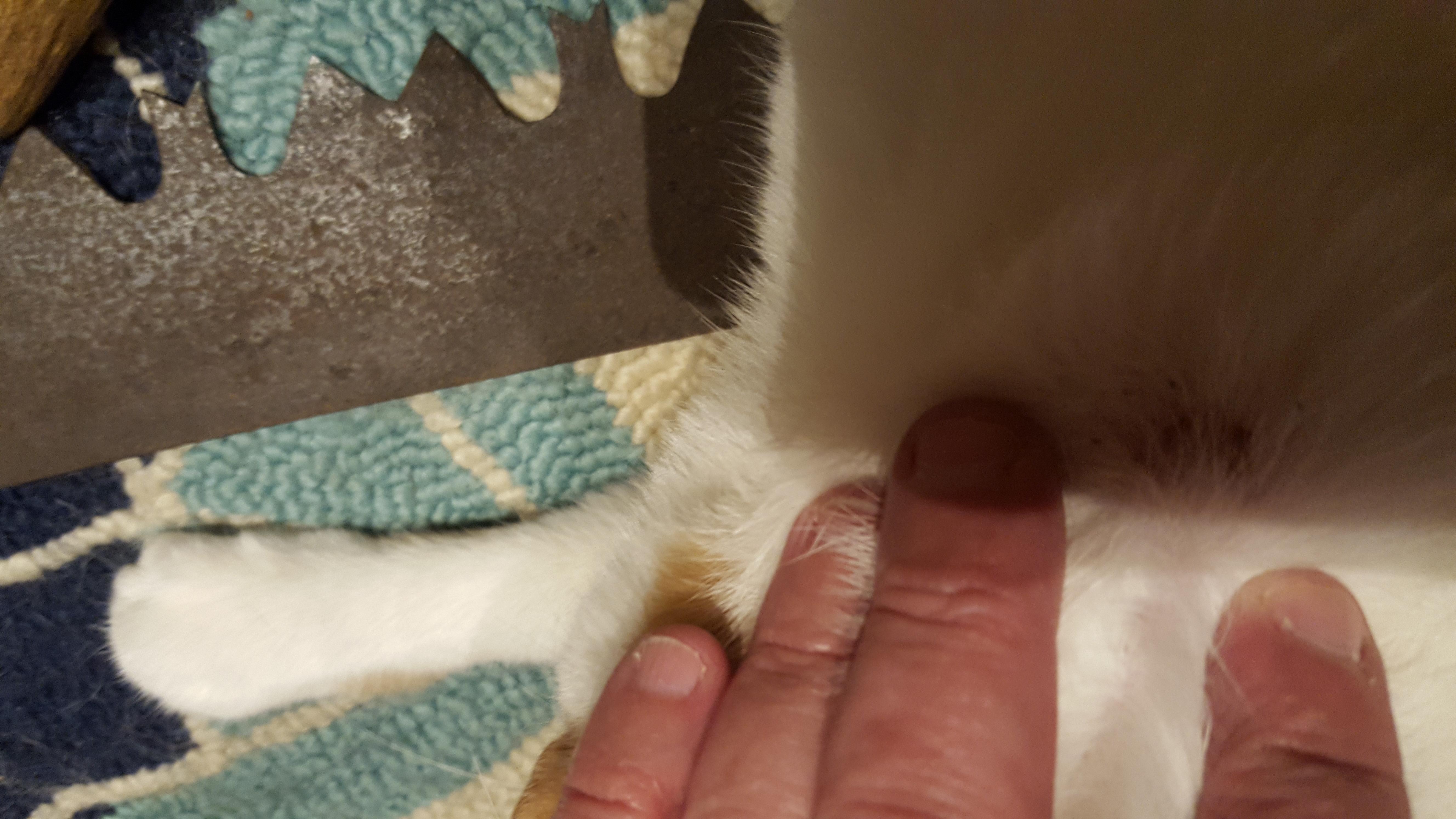 Question details sensitive content