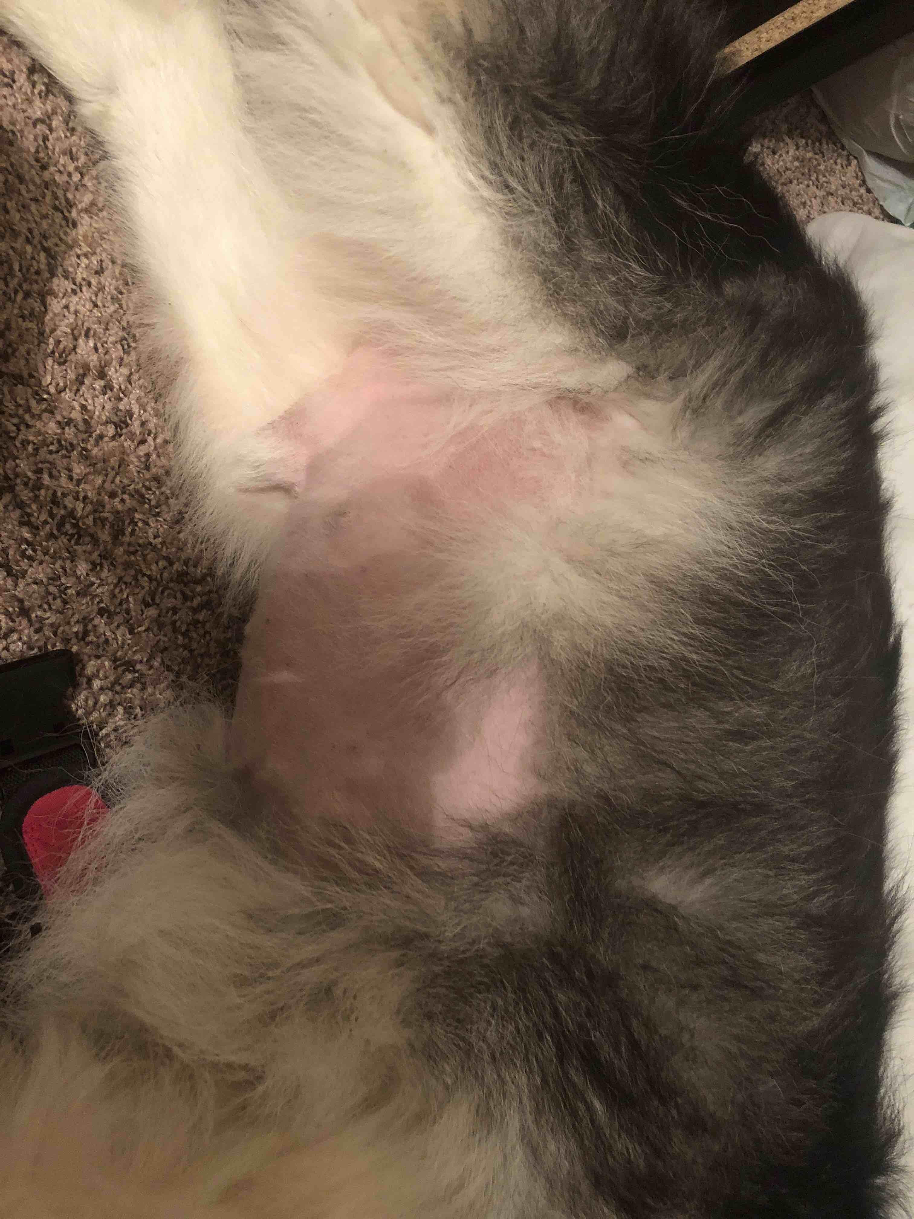 Question details sensitive content