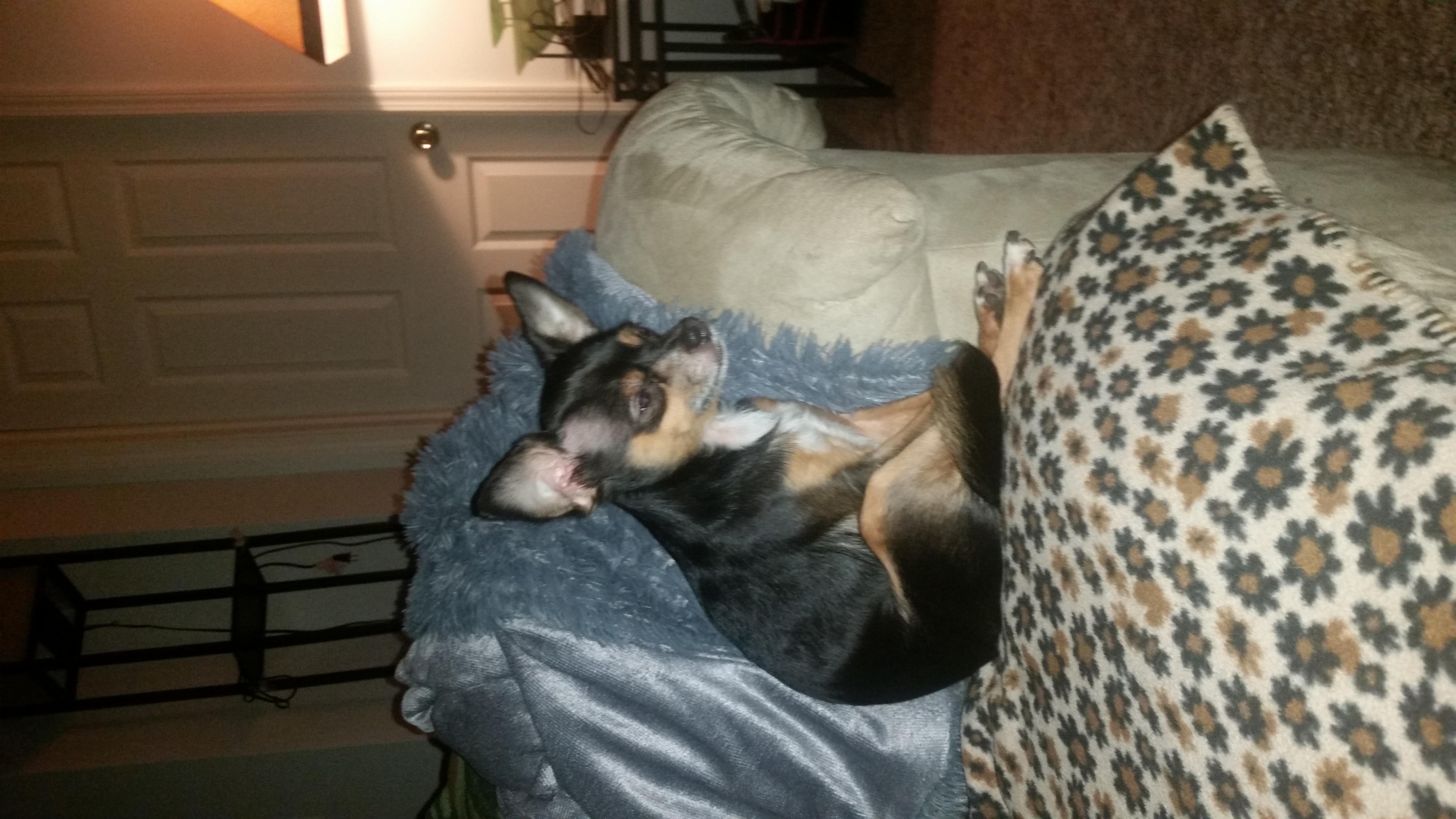 Question details sensitive content