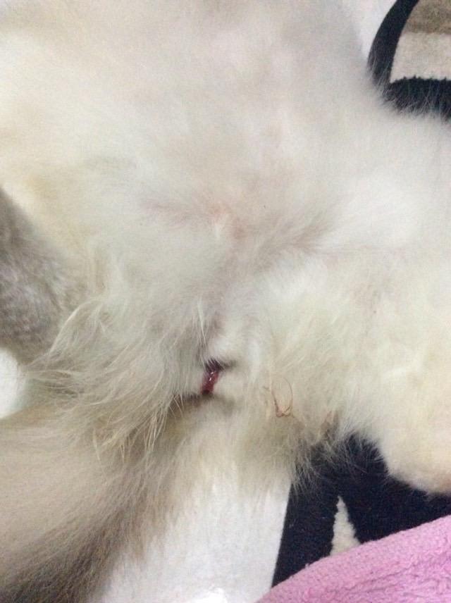 Question details sensitive content