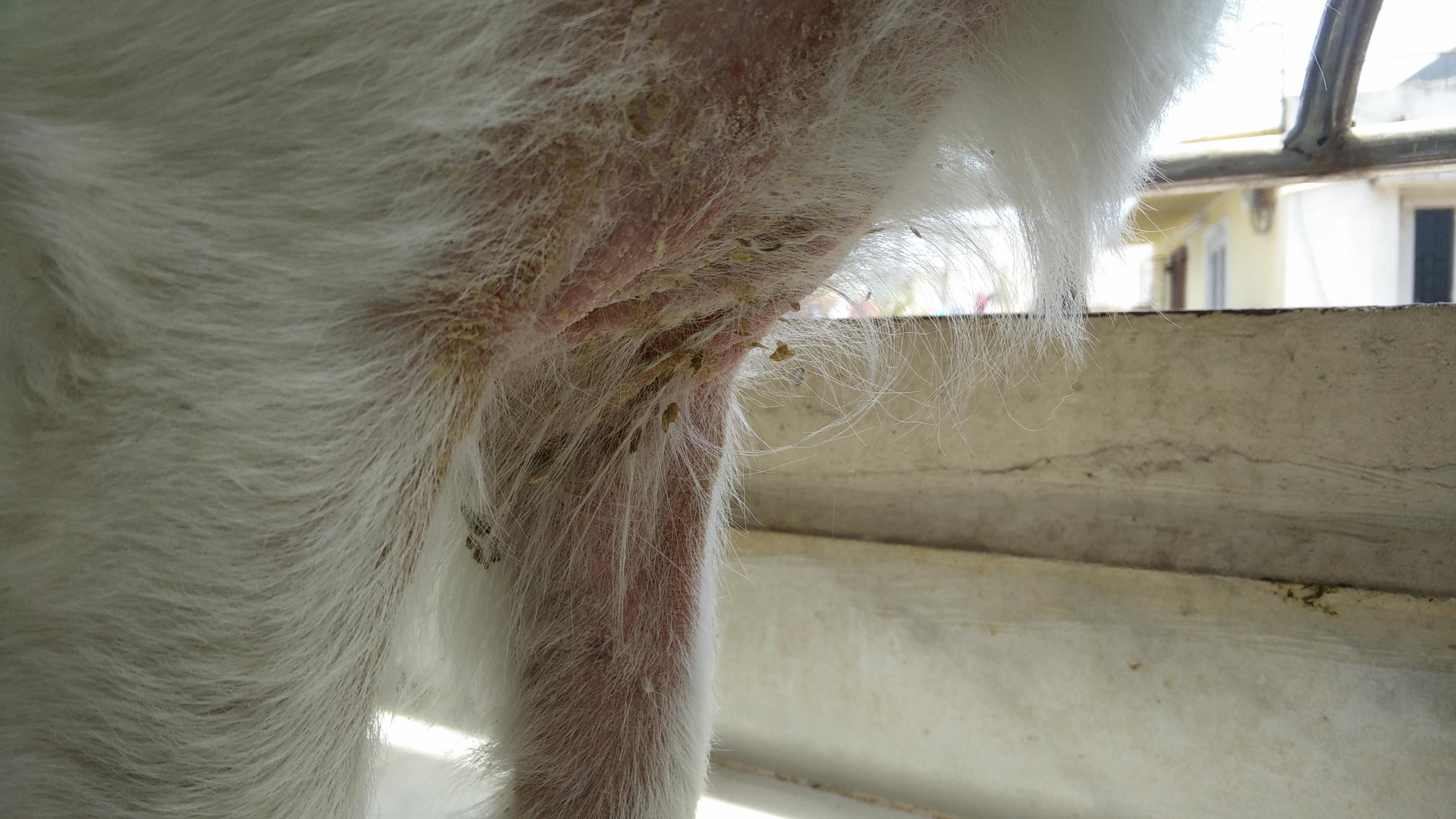 Question details sensitive content