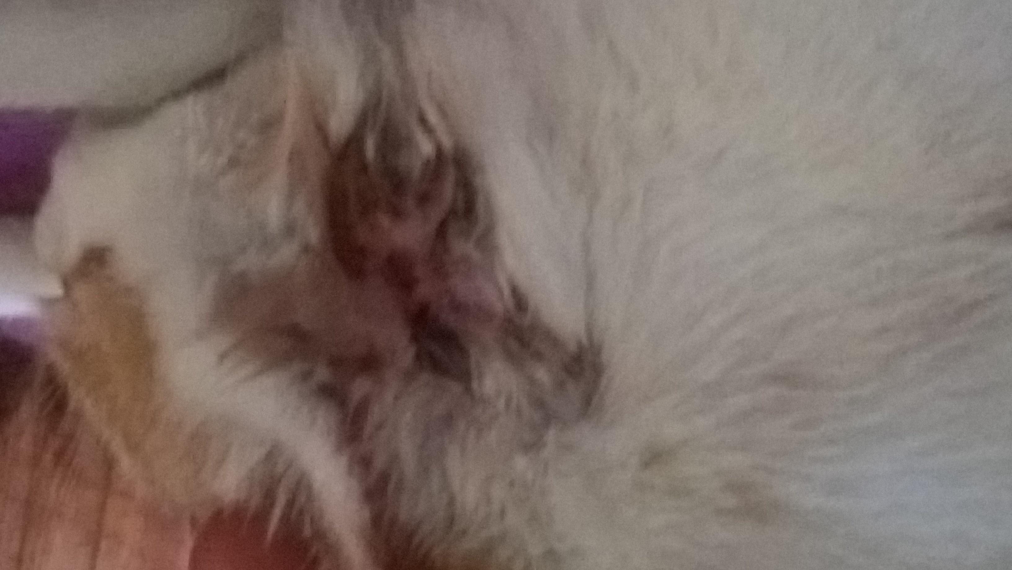 Question details sensitive content