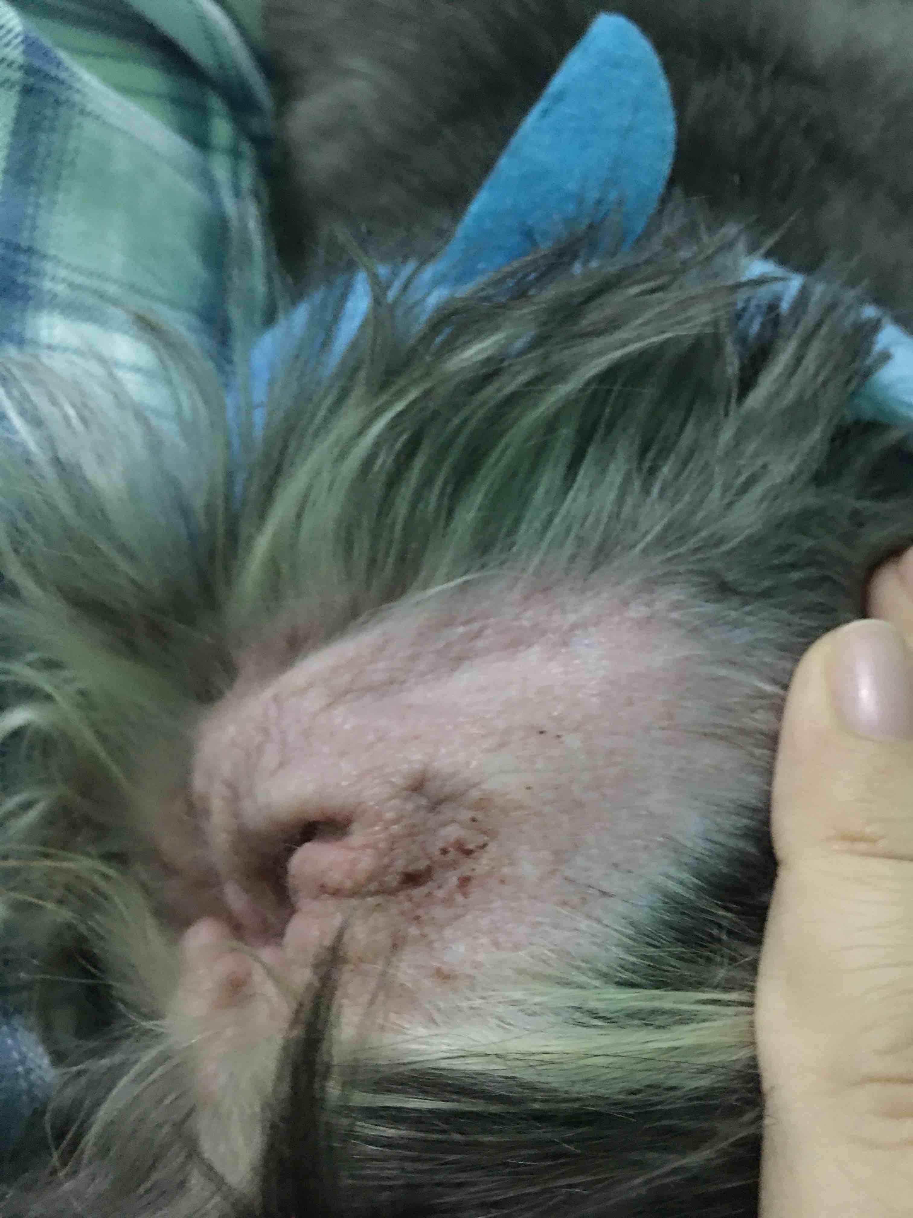 Question details sensitive content