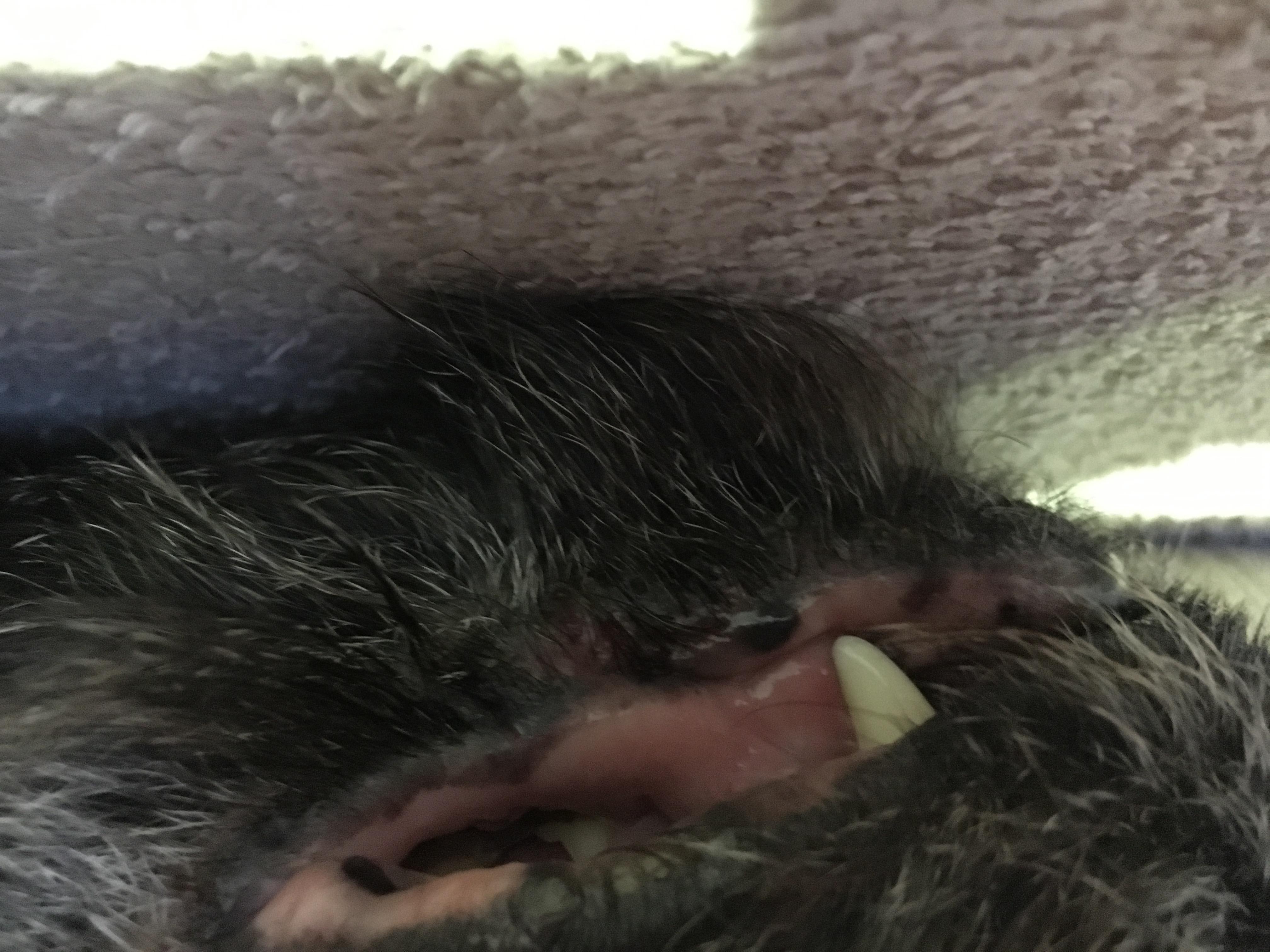 Question details sensitive content