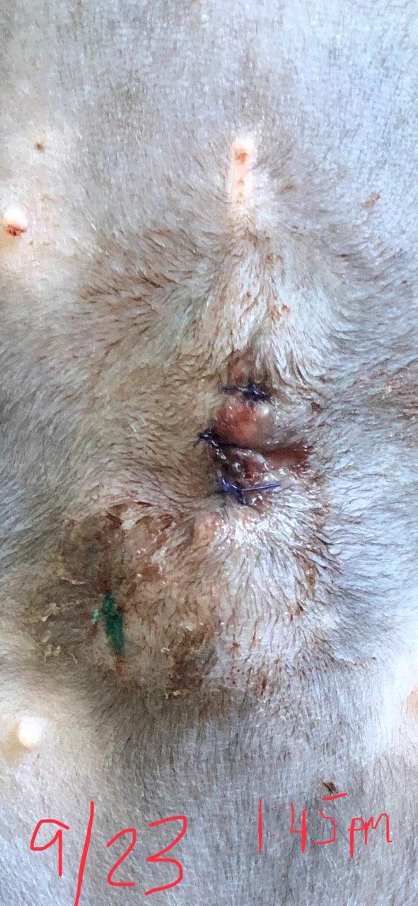 Question details sensitive content