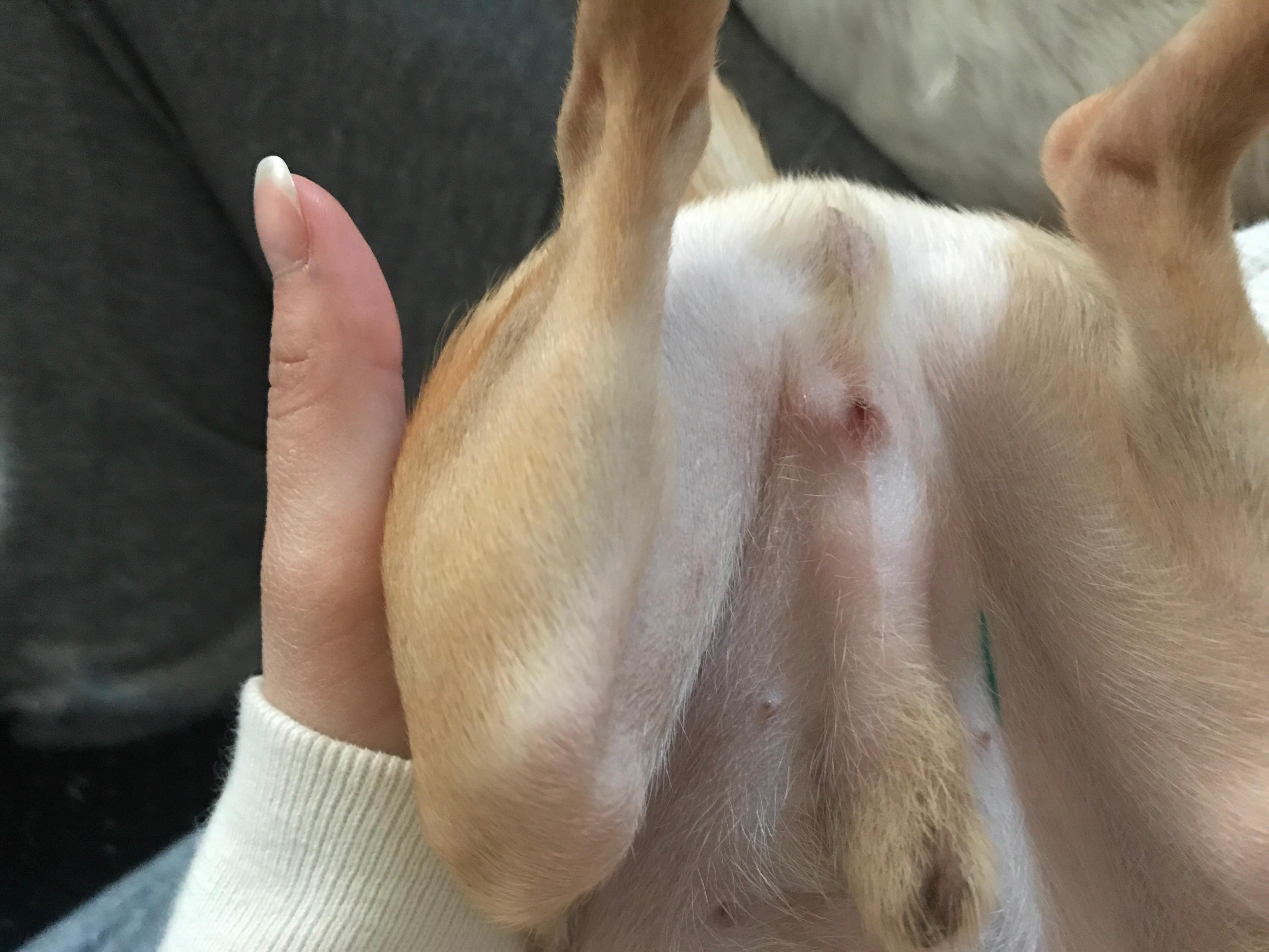 Question details sensitive content