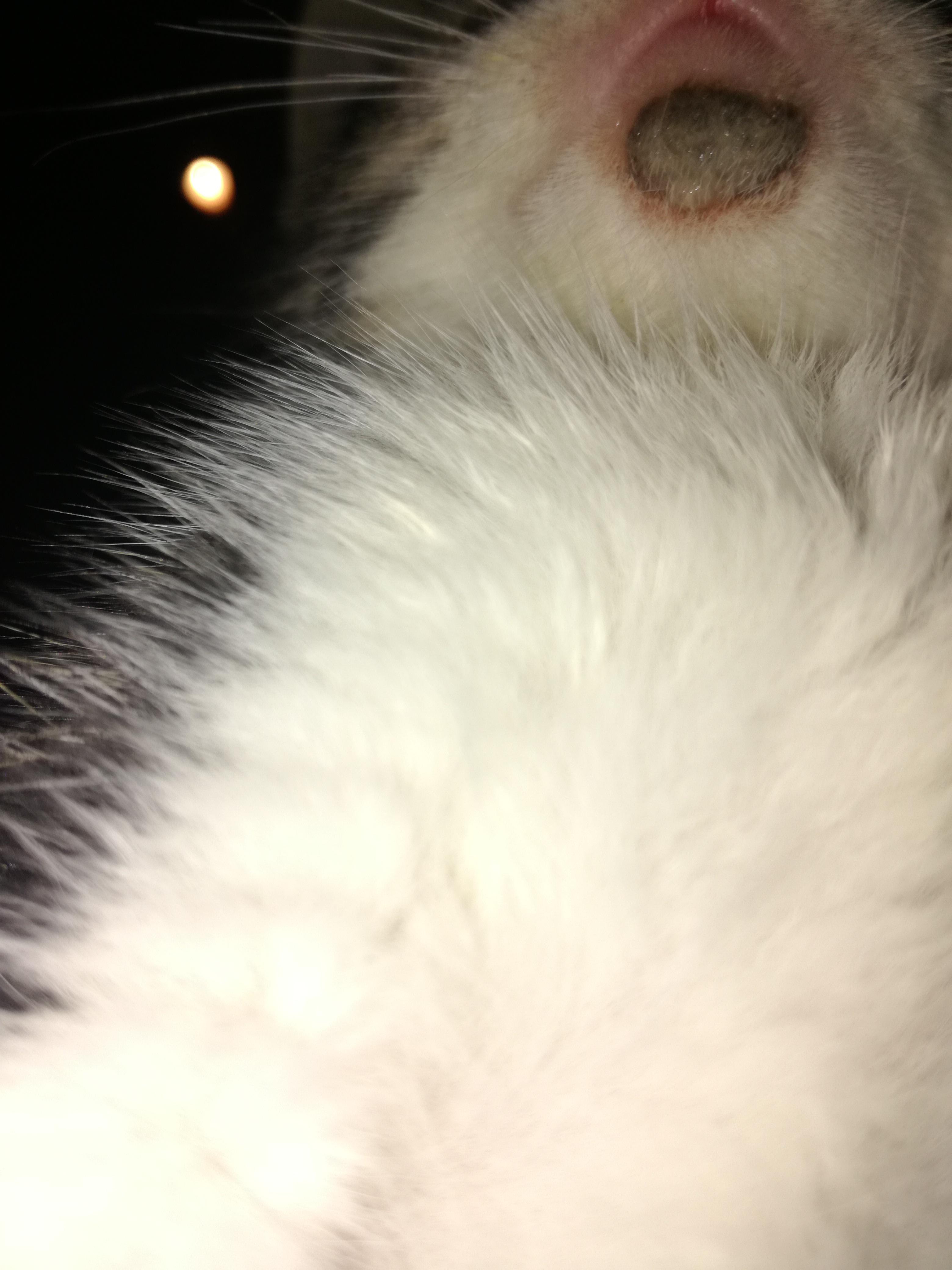 Question details sensitive content