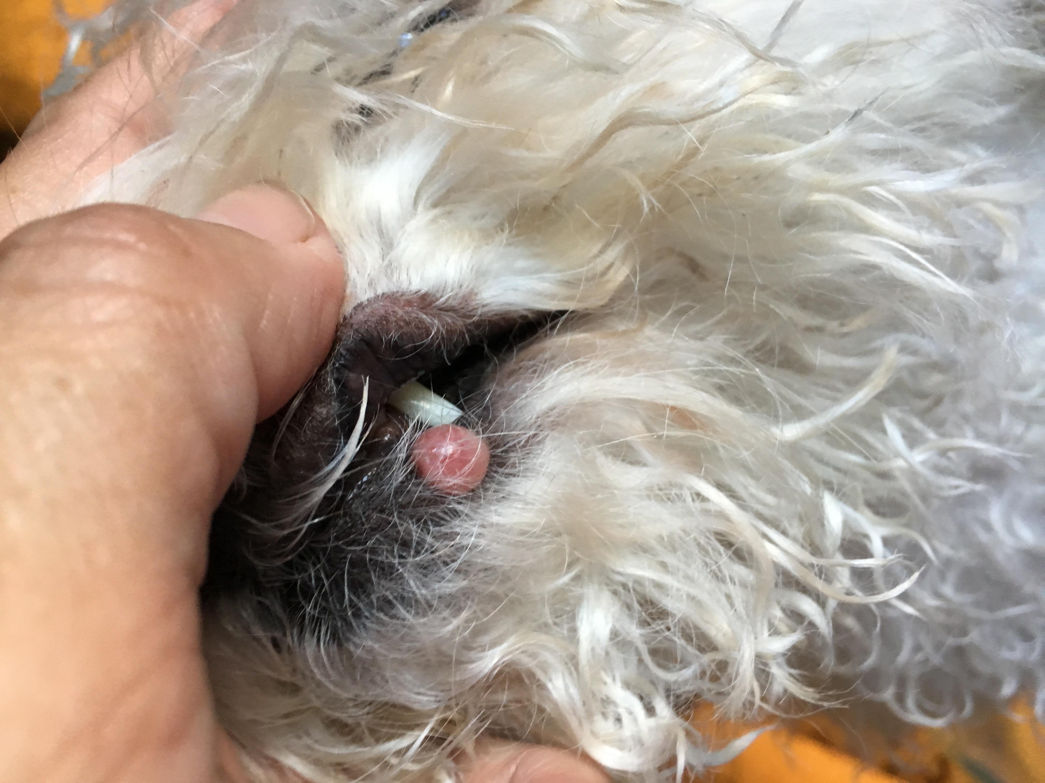 Question details sensitive content