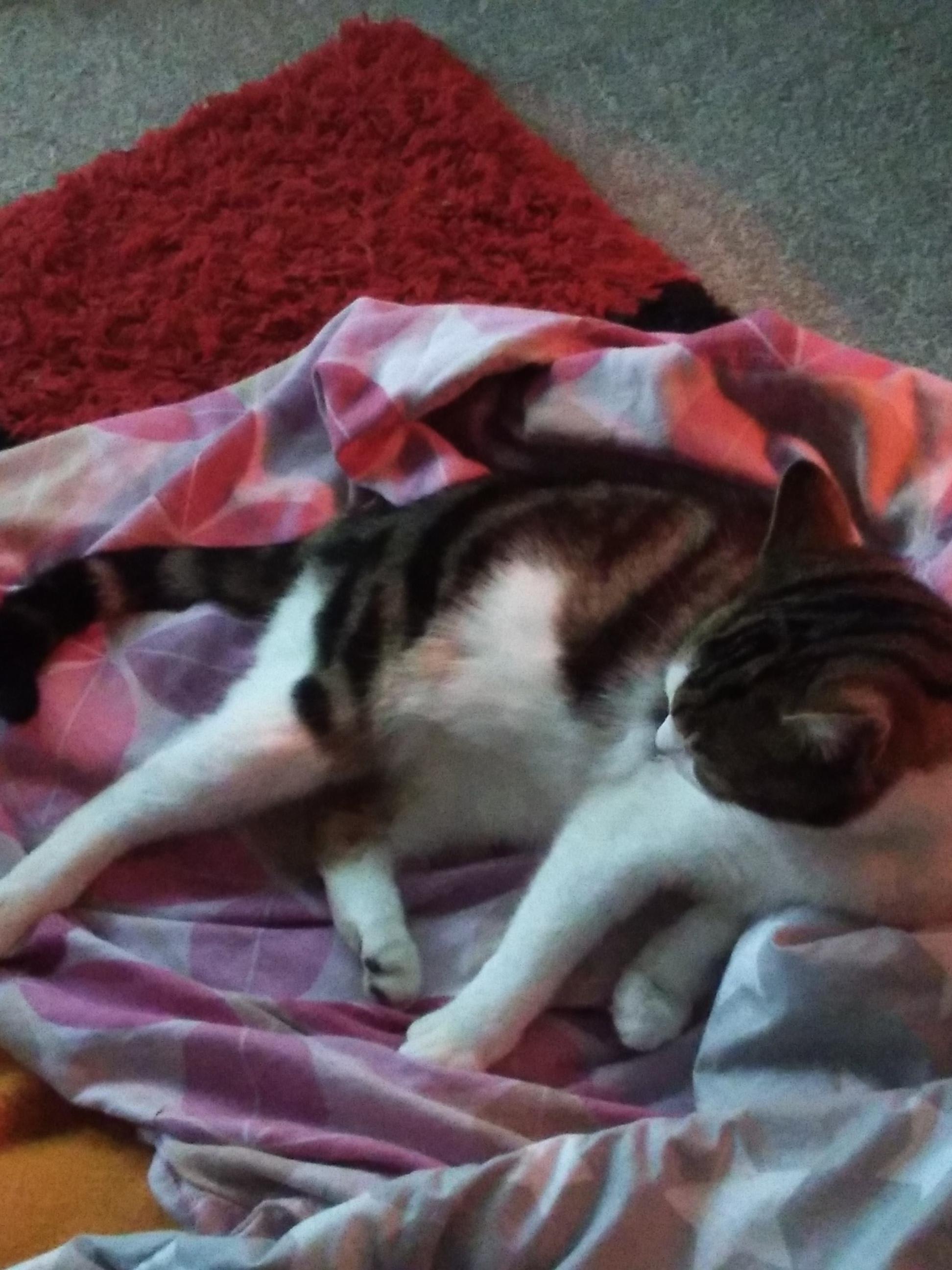 Question details sensitive content