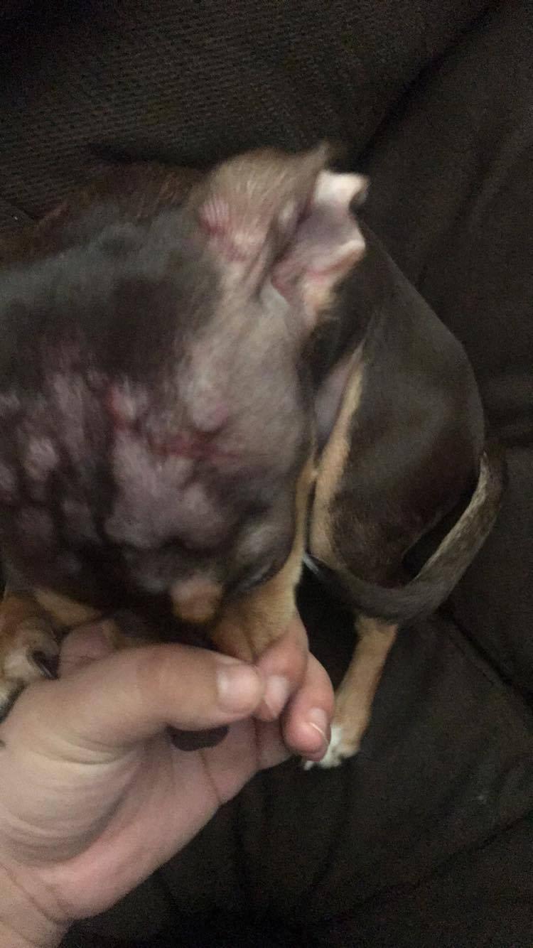 Question details sensitive content