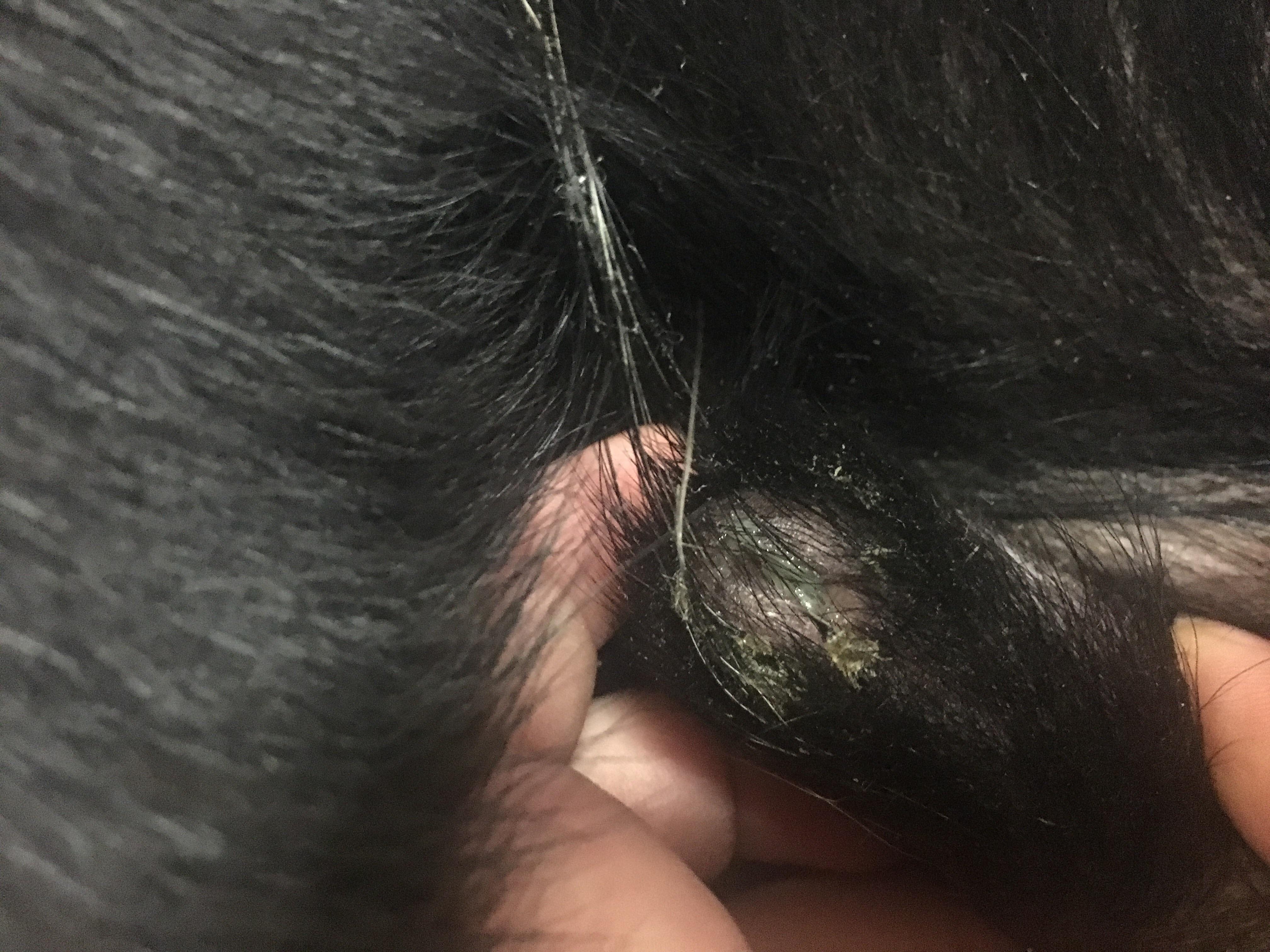 Question details sensitive content