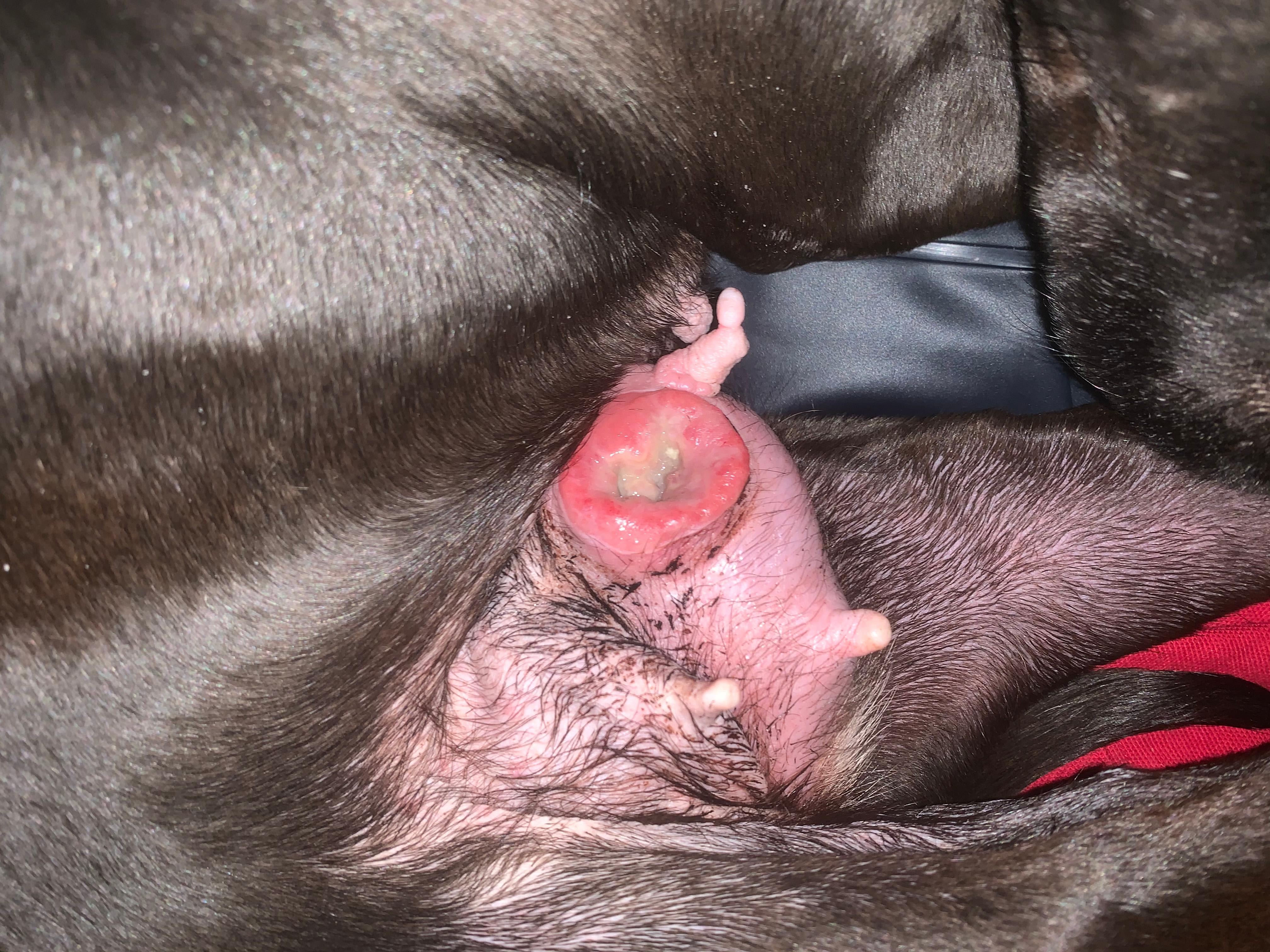 Question details sensitive content